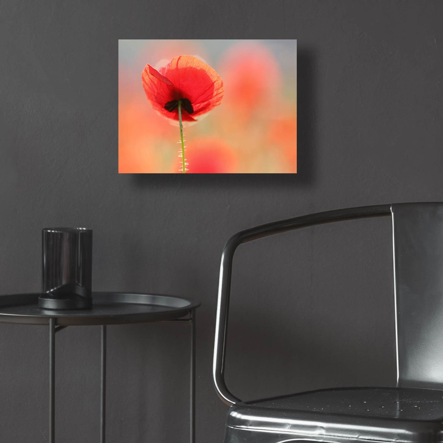 Epic Art ' Poppy Dream' by Roeselien Raimond, Acrylic Glass Wall Art,16x12