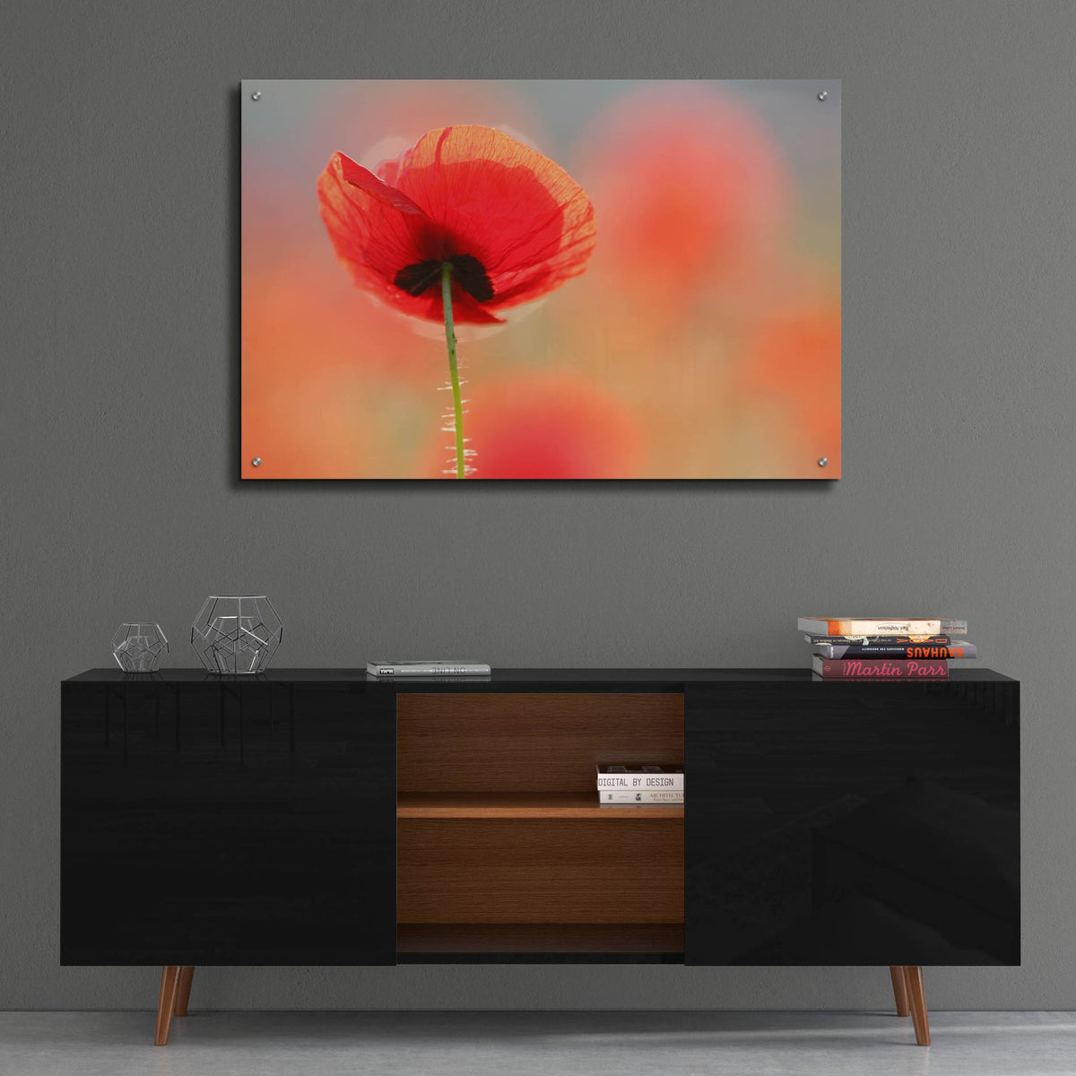 Epic Art ' Poppy Dream' by Roeselien Raimond, Acrylic Glass Wall Art,36x24
