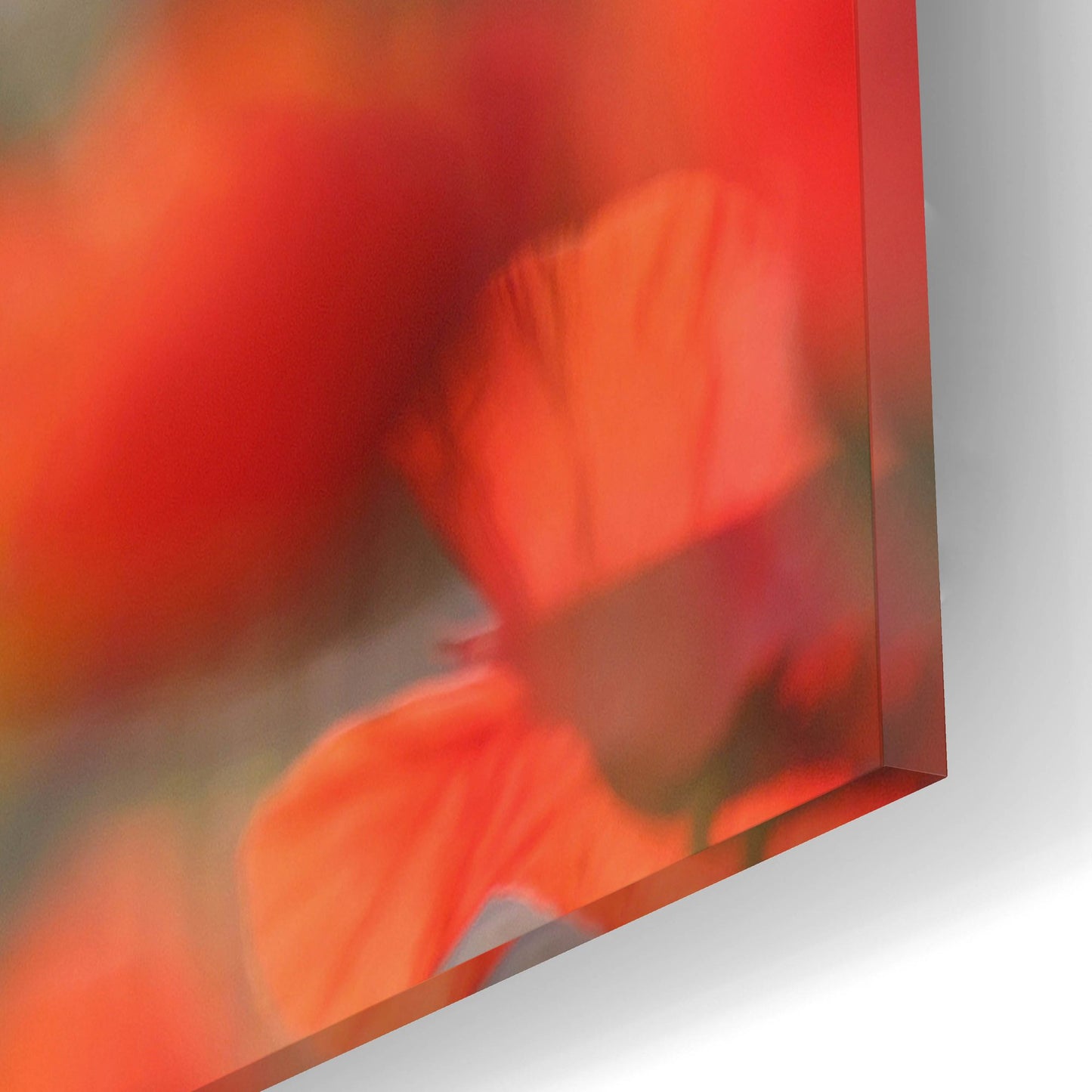 Epic Art ' Poppy Delight' by Roeselien Raimond, Acrylic Glass Wall Art,16x12