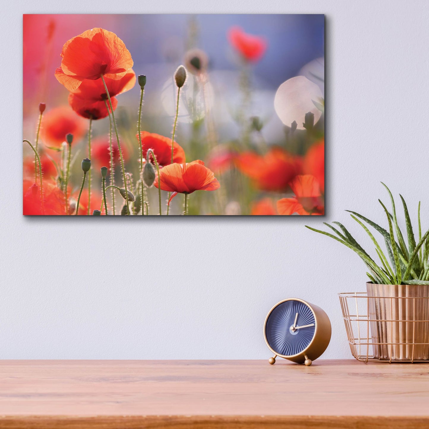 Epic Art ' Poppy Delight' by Roeselien Raimond, Acrylic Glass Wall Art,16x12