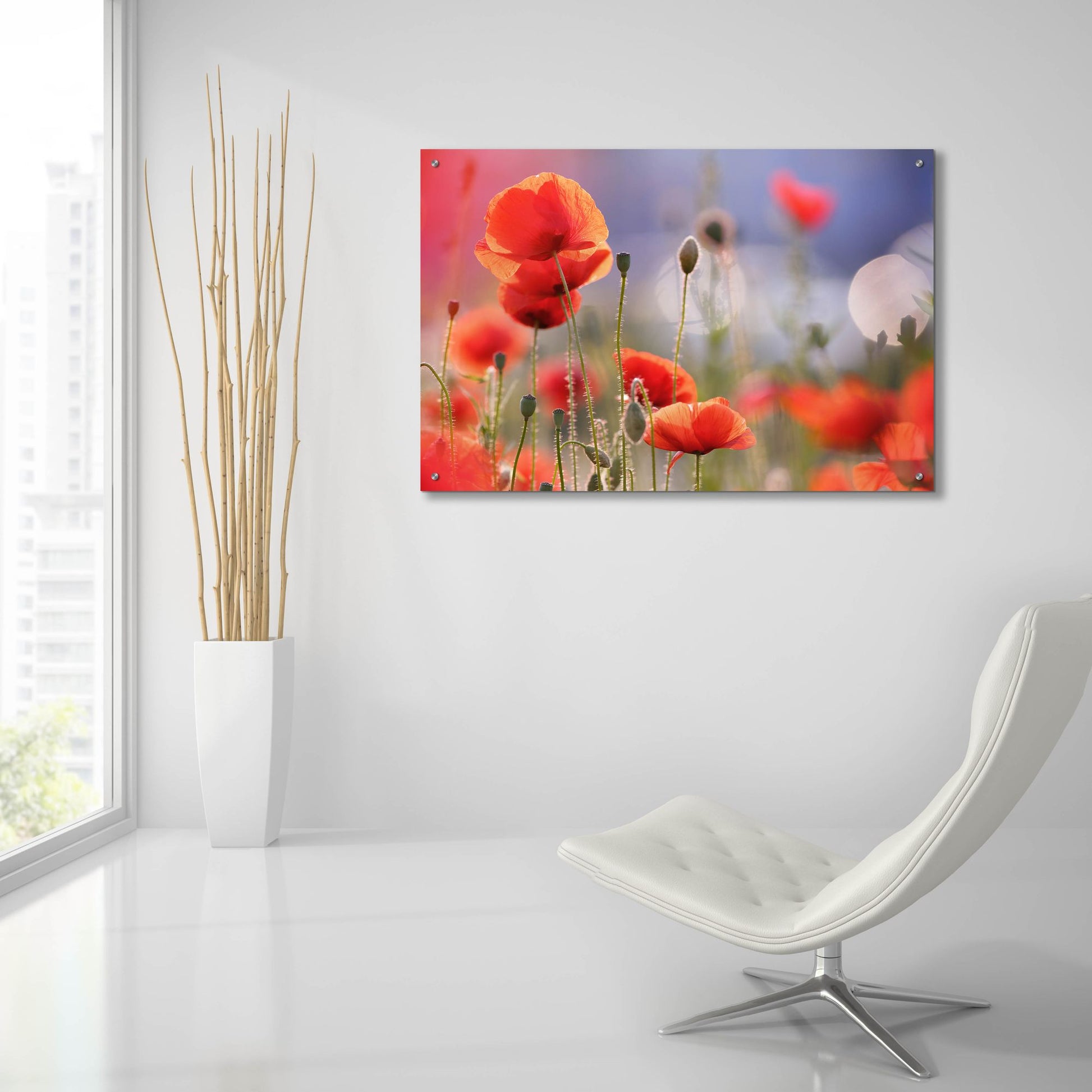 Epic Art ' Poppy Delight' by Roeselien Raimond, Acrylic Glass Wall Art,36x24