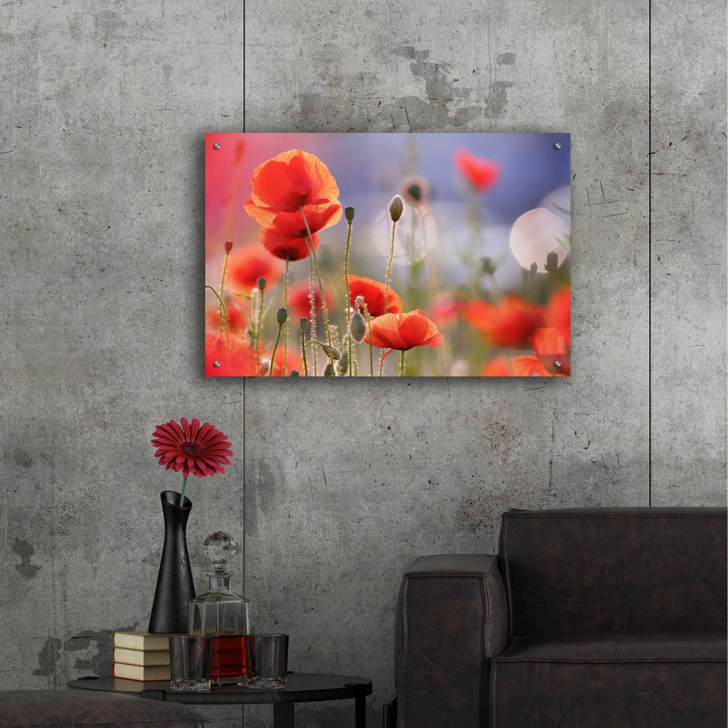 Epic Art ' Poppy Delight' by Roeselien Raimond, Acrylic Glass Wall Art,36x24