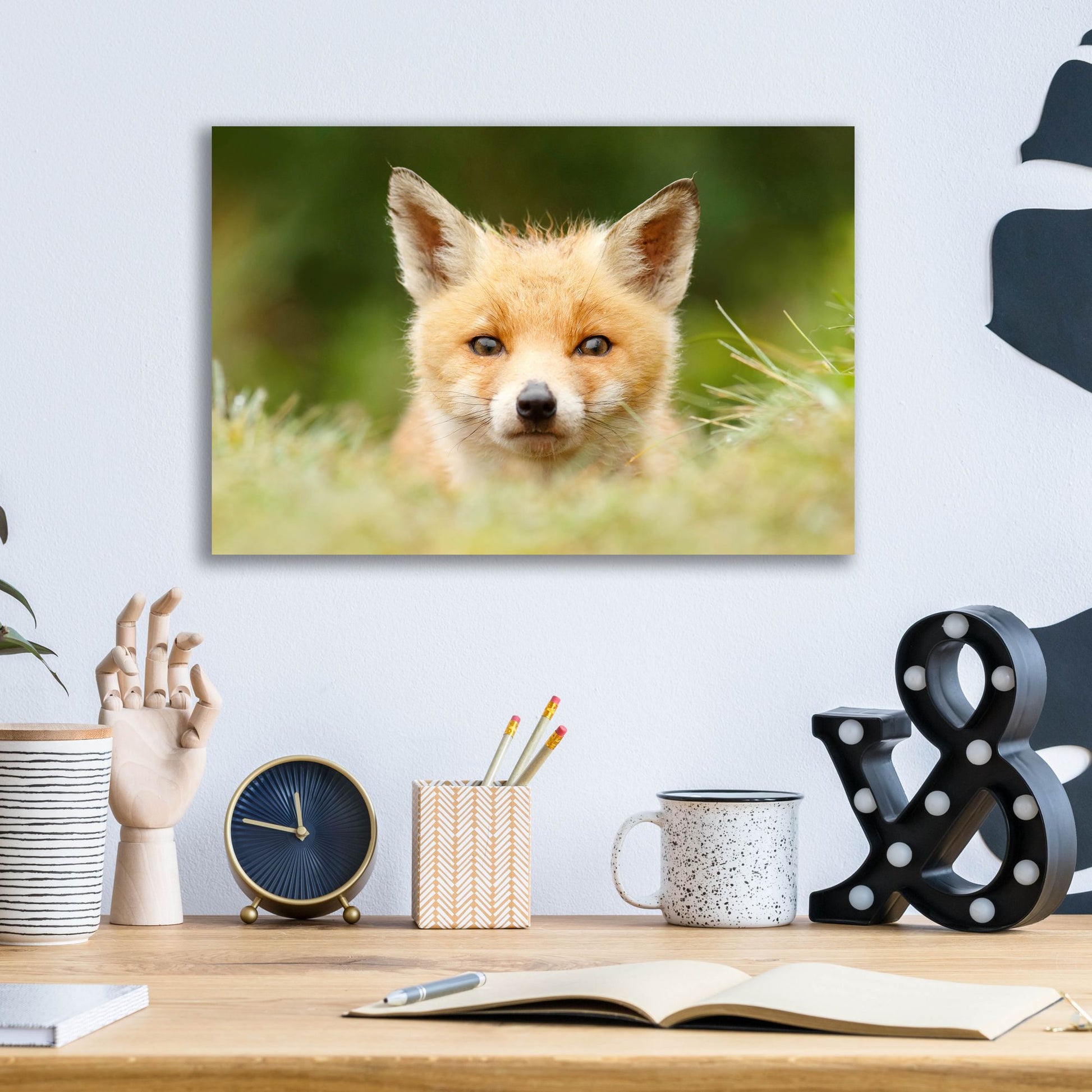 Epic Art ' Bad Fur Day' by Roeselien Raimond, Acrylic Glass Wall Art,16x12