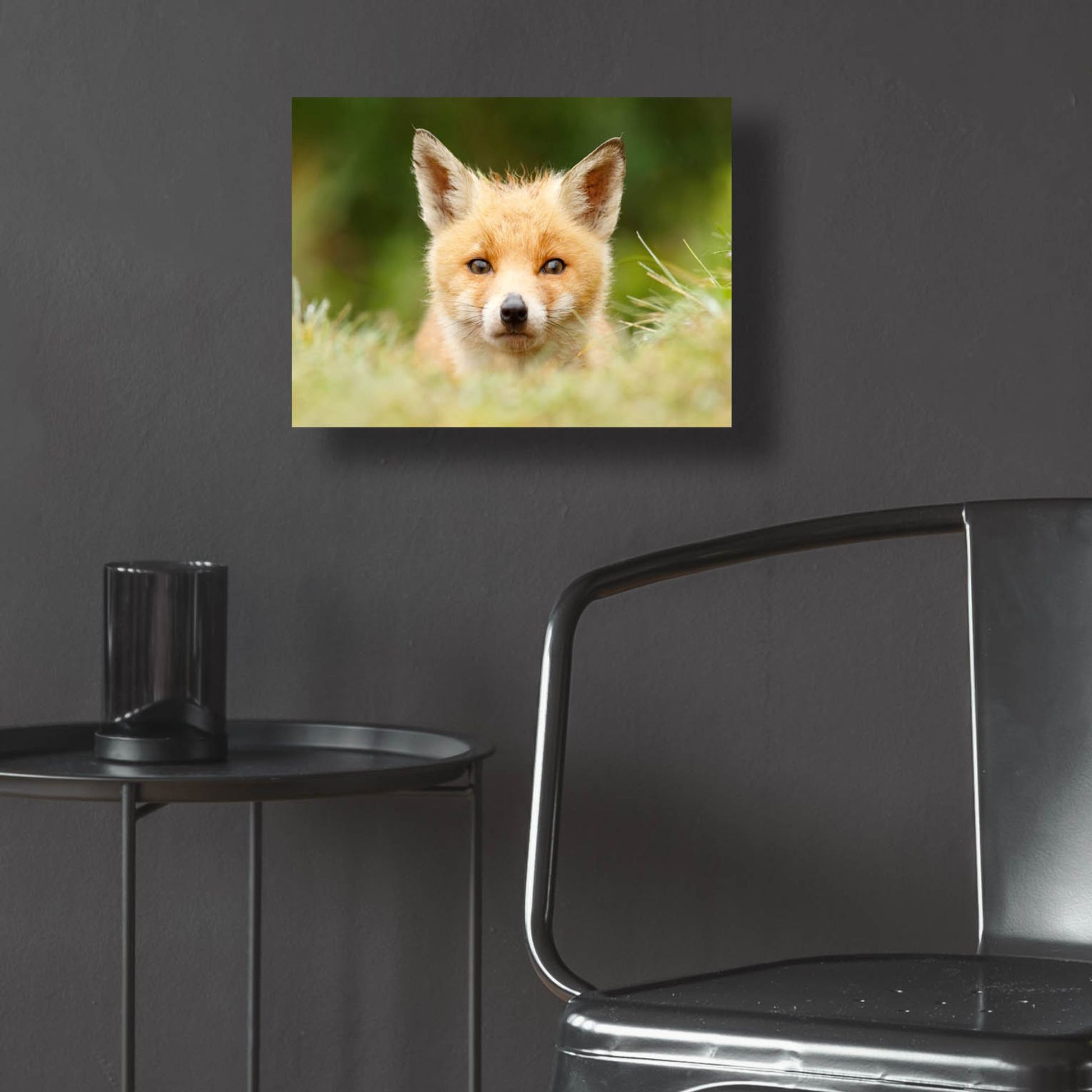 Epic Art ' Bad Fur Day' by Roeselien Raimond, Acrylic Glass Wall Art,16x12