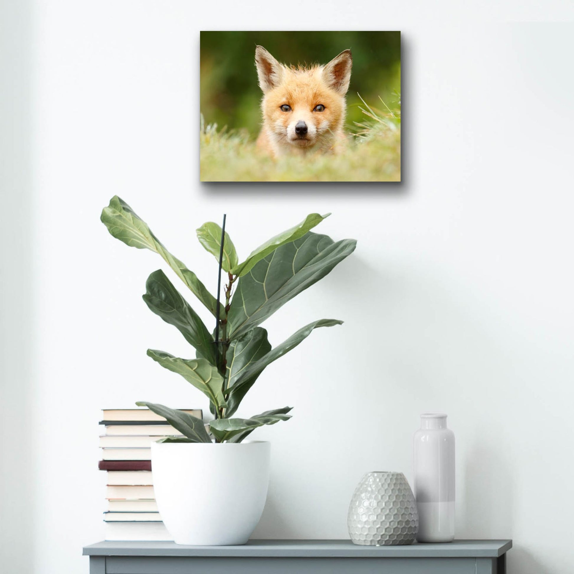 Epic Art ' Bad Fur Day' by Roeselien Raimond, Acrylic Glass Wall Art,16x12