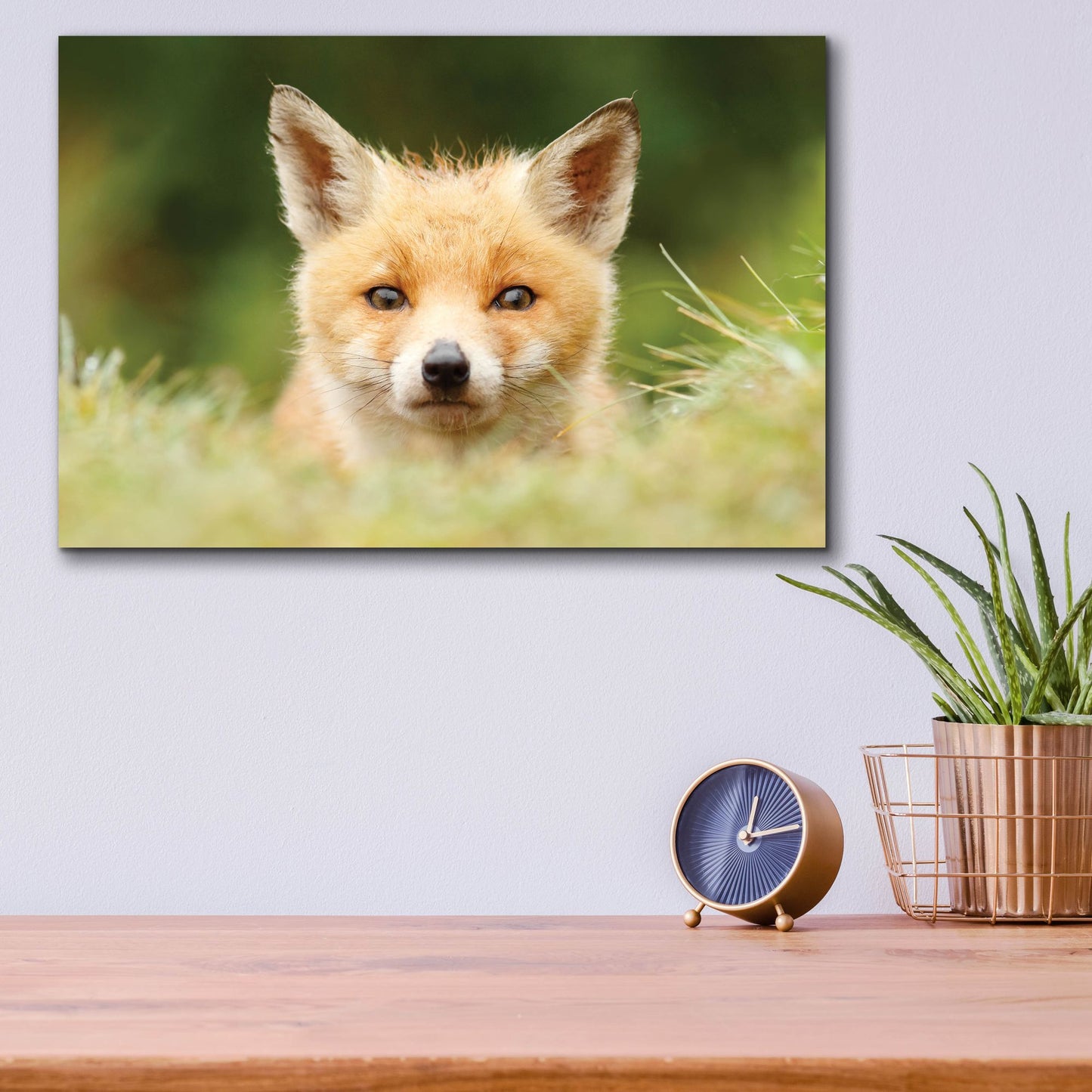 Epic Art ' Bad Fur Day' by Roeselien Raimond, Acrylic Glass Wall Art,16x12