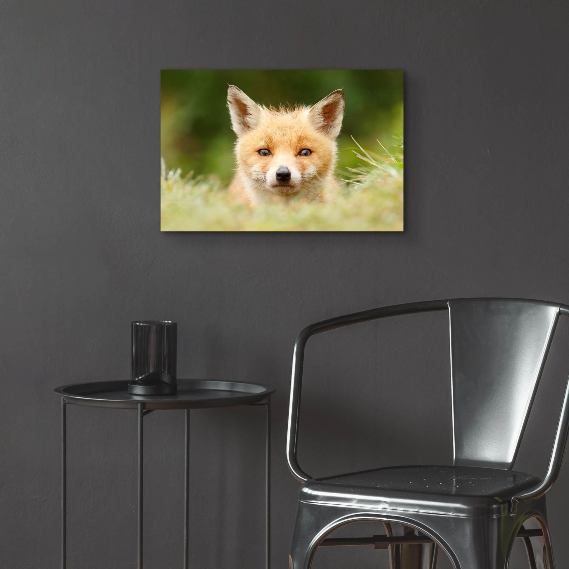 Epic Art ' Bad Fur Day' by Roeselien Raimond, Acrylic Glass Wall Art,24x16