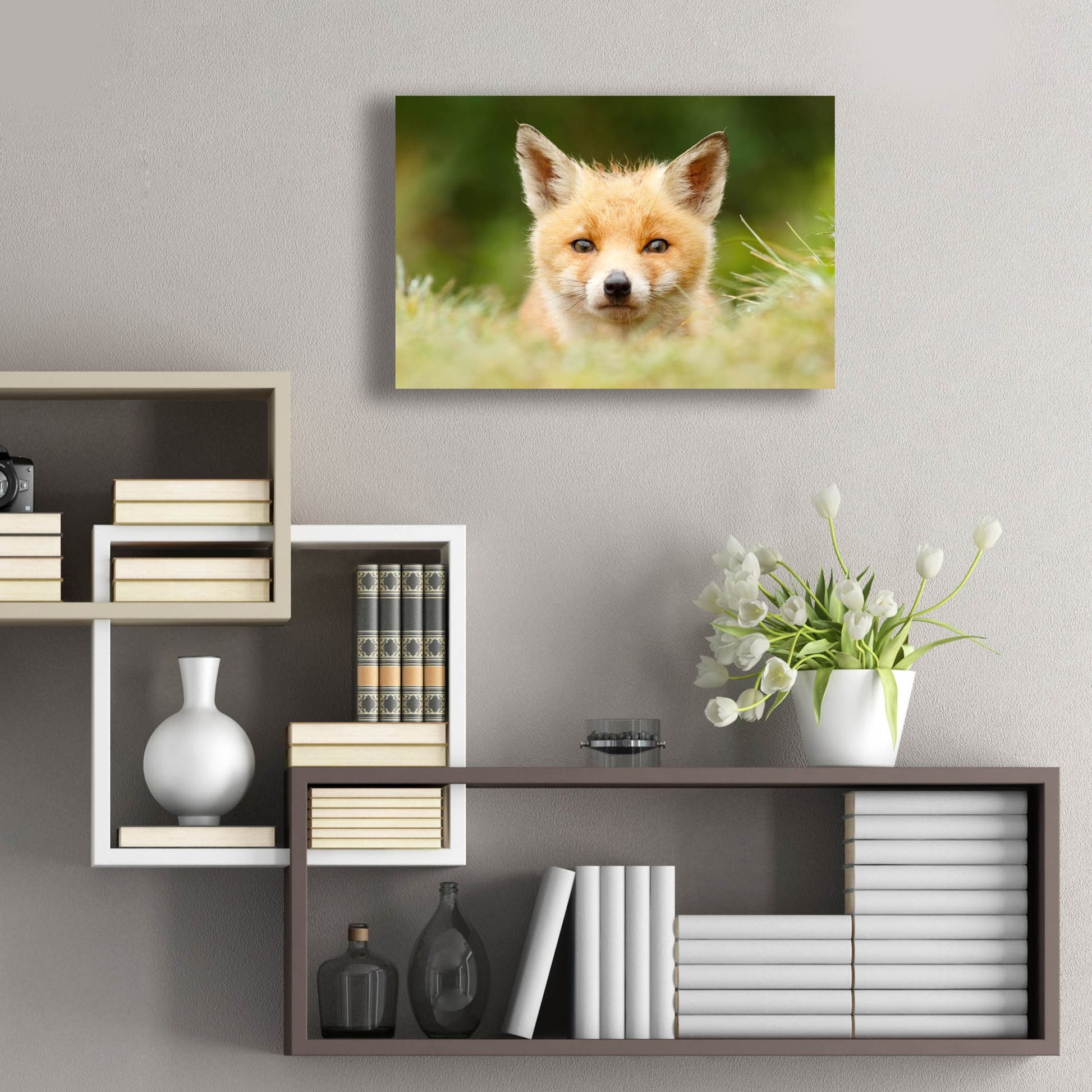 Epic Art ' Bad Fur Day' by Roeselien Raimond, Acrylic Glass Wall Art,24x16