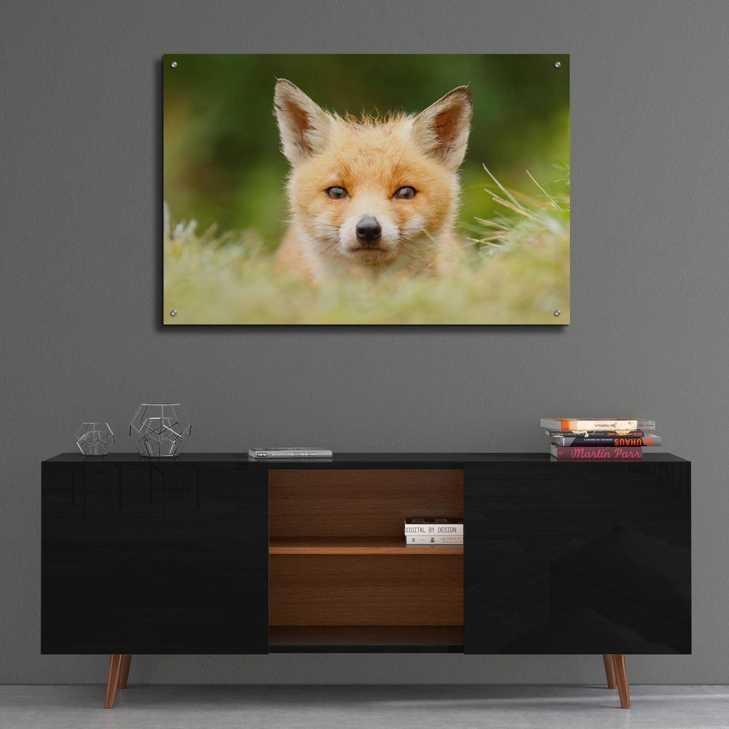 Epic Art ' Bad Fur Day' by Roeselien Raimond, Acrylic Glass Wall Art,36x24