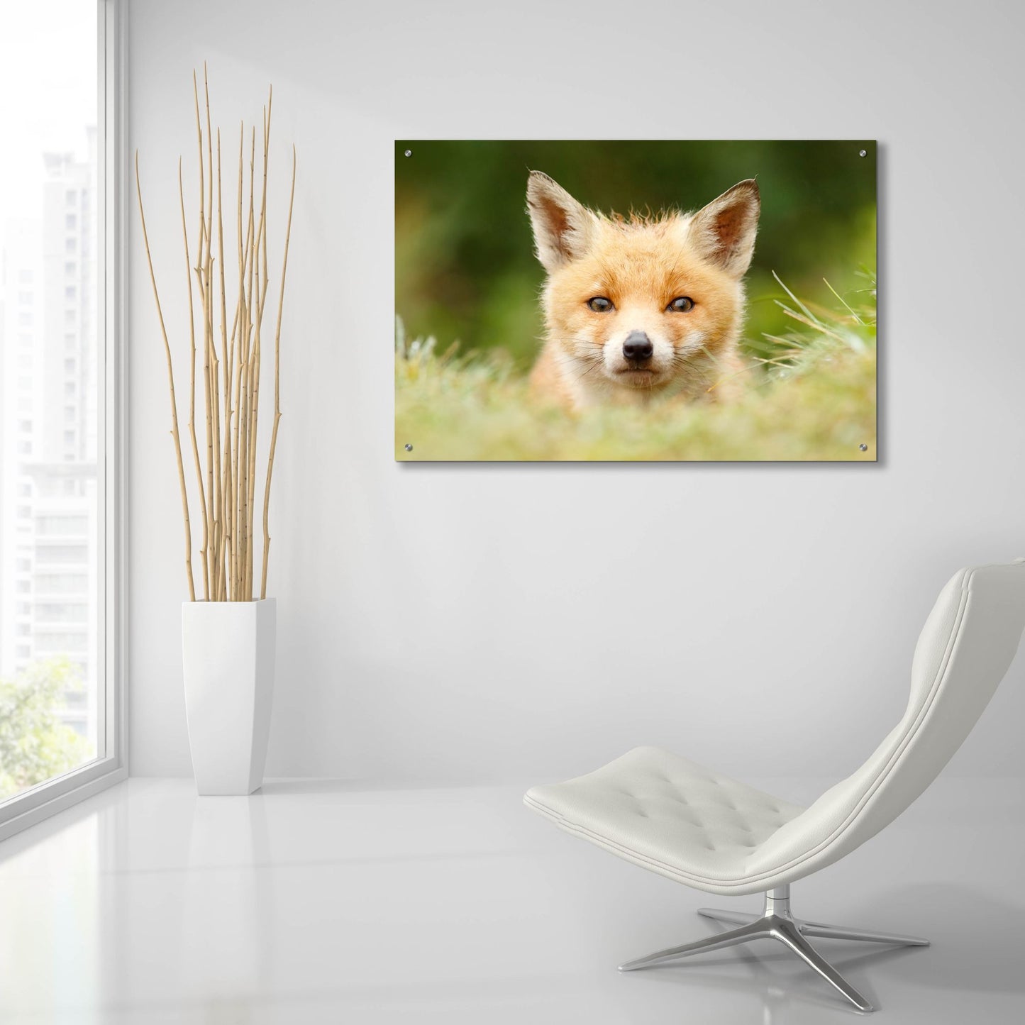 Epic Art ' Bad Fur Day' by Roeselien Raimond, Acrylic Glass Wall Art,36x24