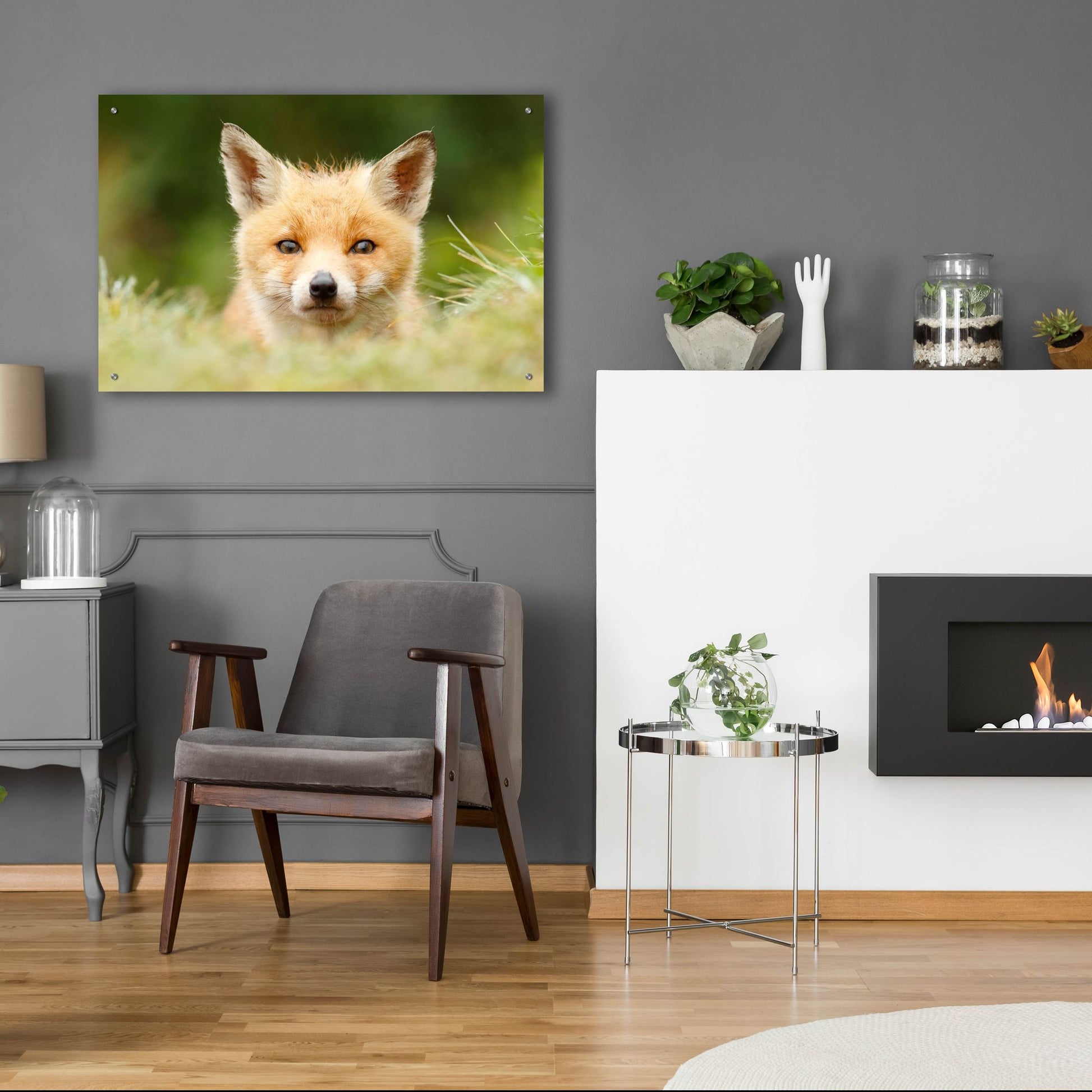 Epic Art ' Bad Fur Day' by Roeselien Raimond, Acrylic Glass Wall Art,36x24