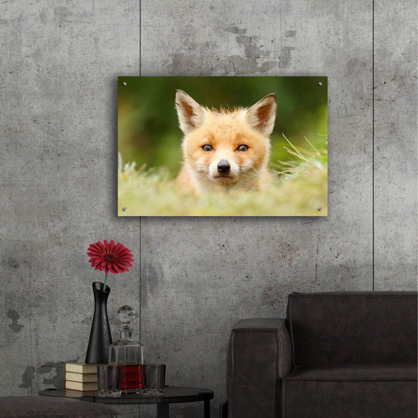 Epic Art ' Bad Fur Day' by Roeselien Raimond, Acrylic Glass Wall Art,36x24