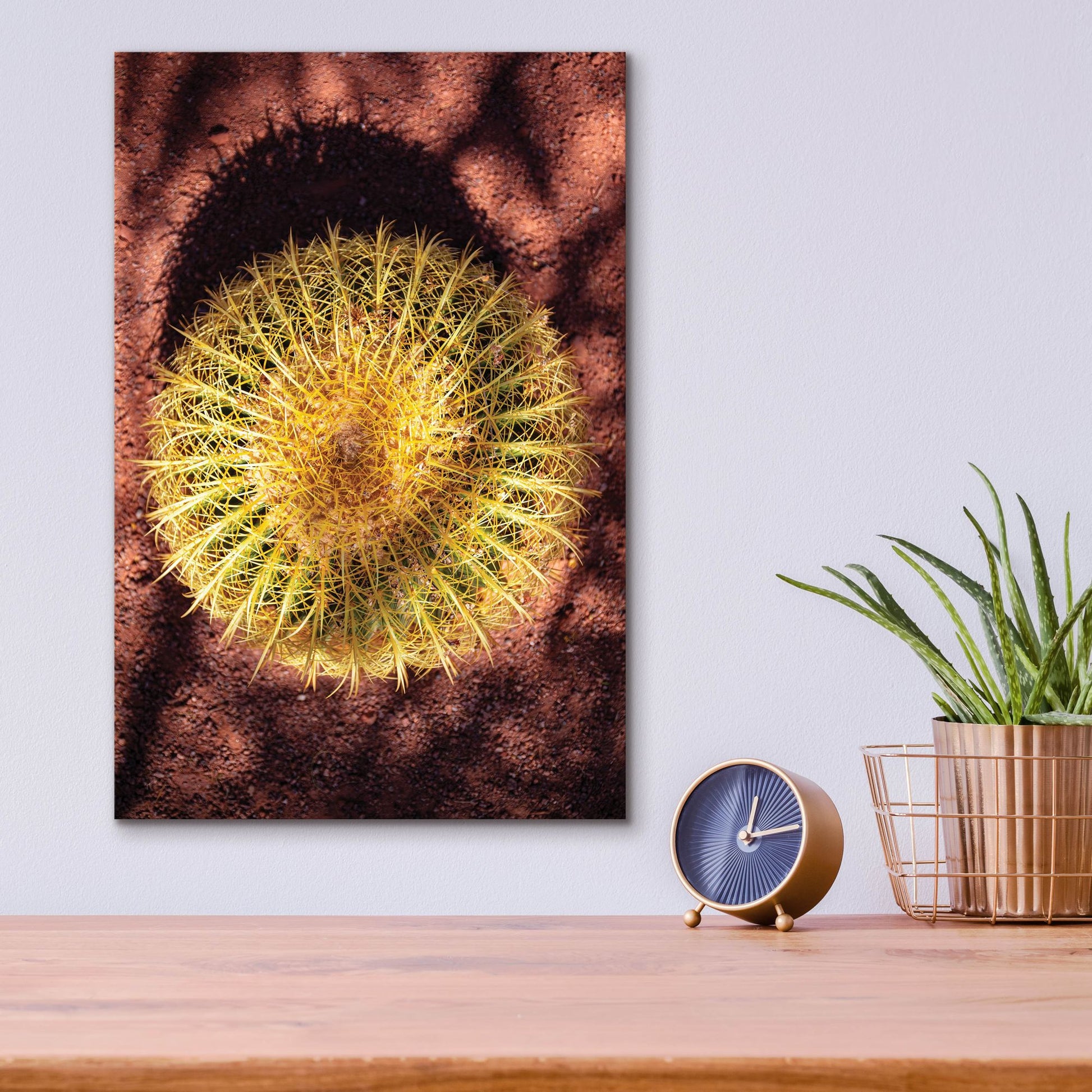 Epic Art 'Utah - Cactus' by Epic Portfolio, Acrylic Glass Wall Art,12x16