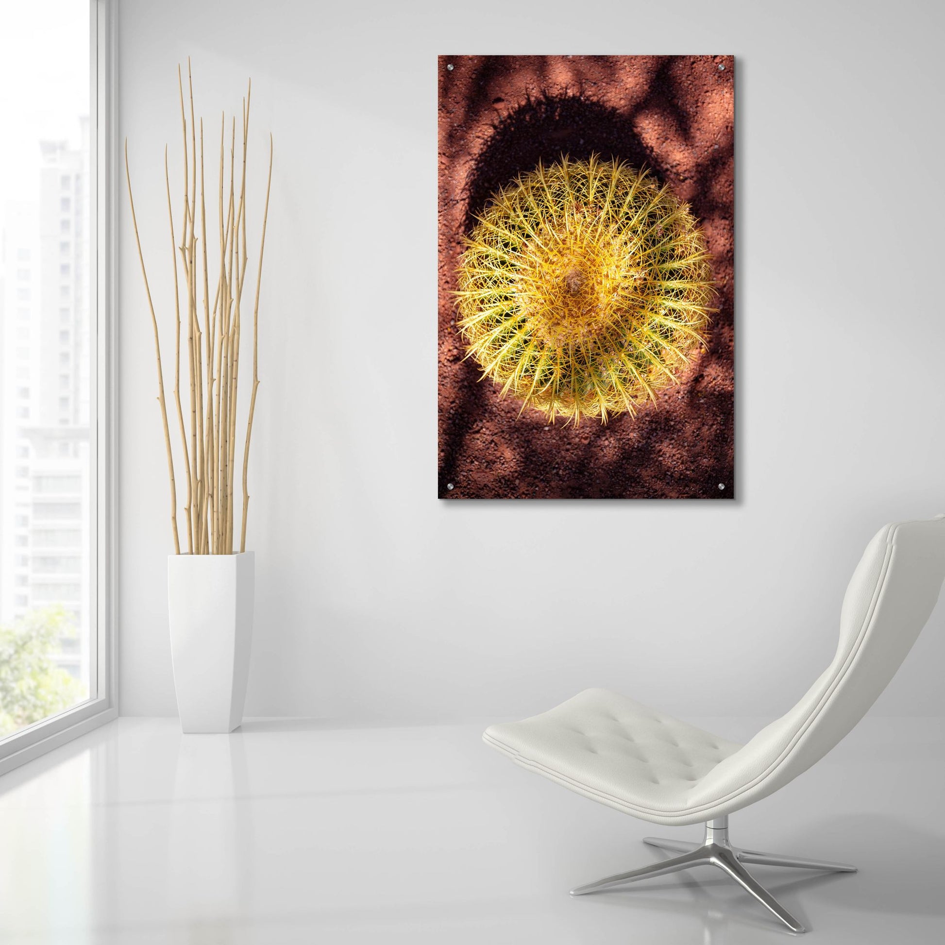 Epic Art 'Utah - Cactus' by Epic Portfolio, Acrylic Glass Wall Art,24x36