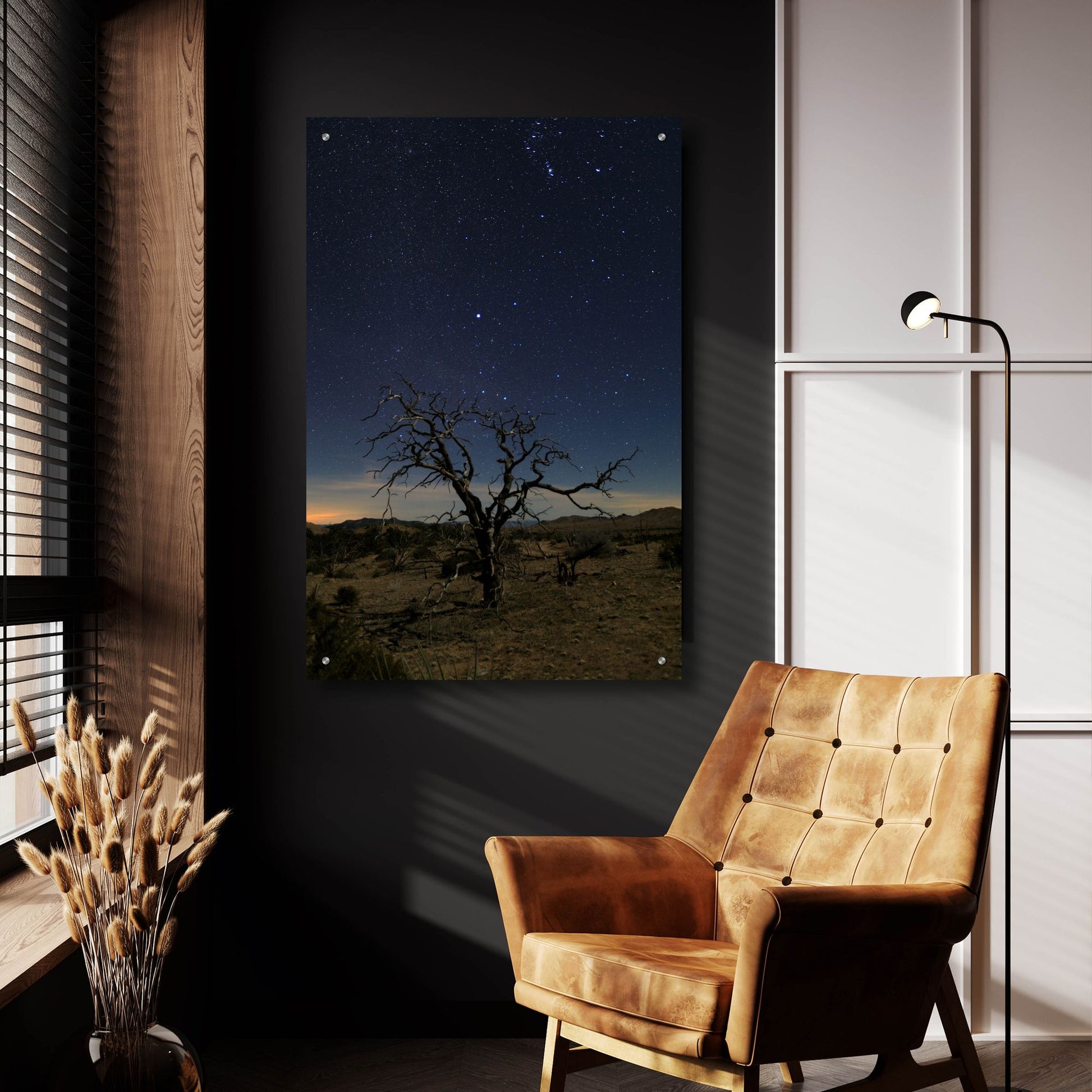 Epic Art ' Mohave at Night 1' by Shawn/Corinne Severn, Acrylic Glass Wall Art,24x36