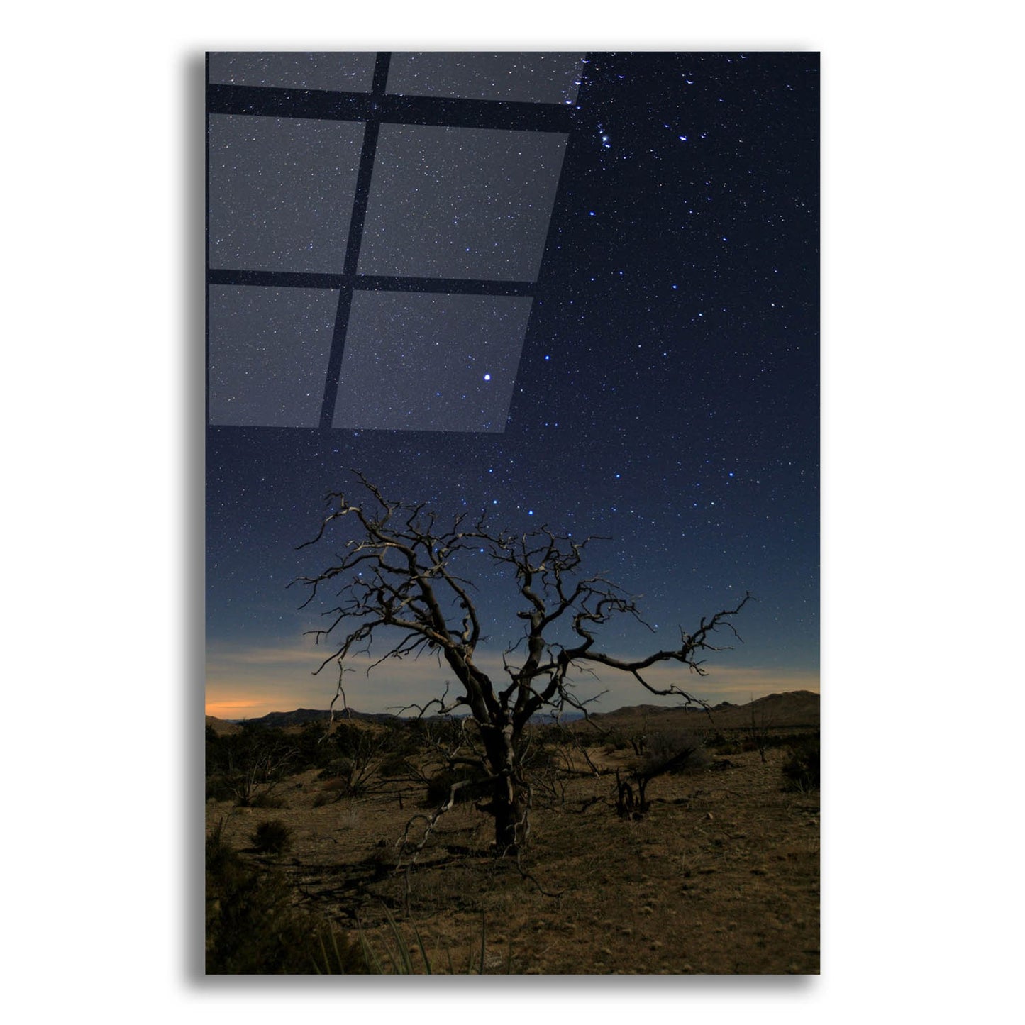 Epic Art ' Mohave at Night 1' by Shawn/Corinne Severn, Acrylic Glass Wall Art