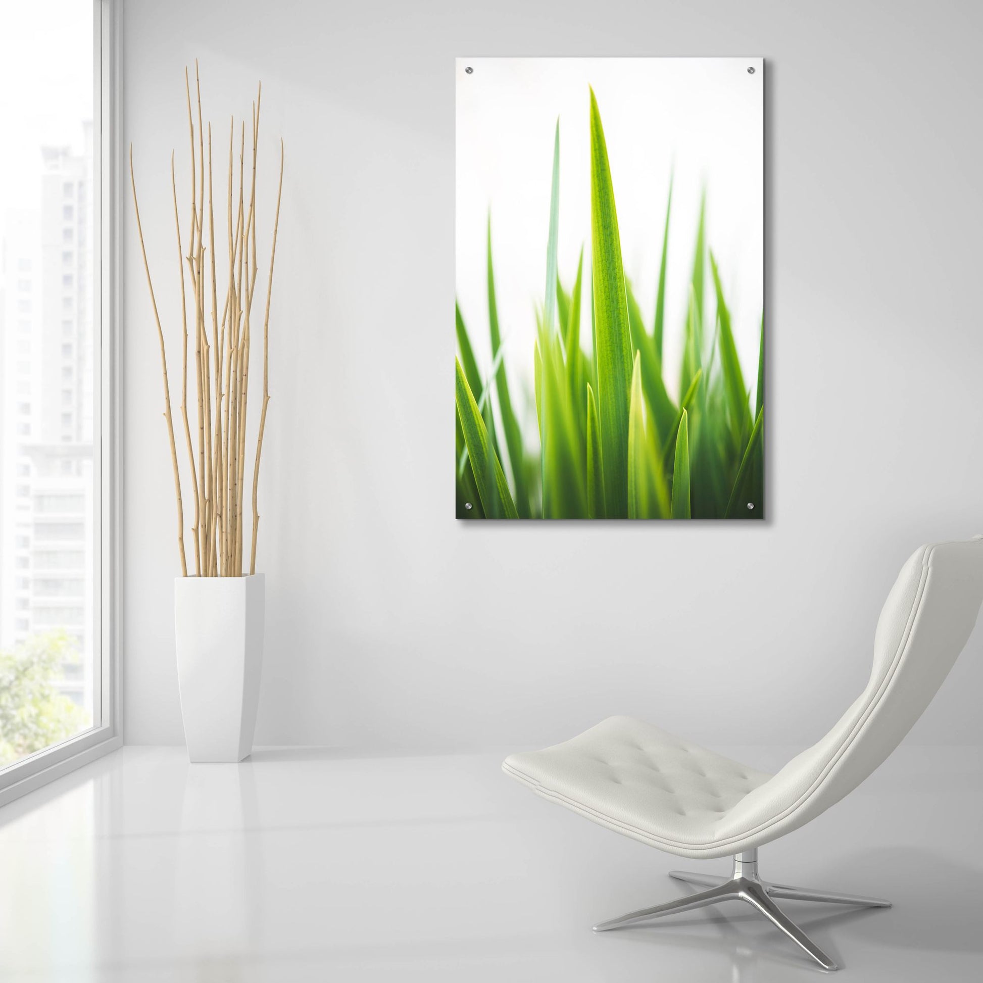 Epic Art ' Blades of Green 1' by Sonja Quintero, Acrylic Glass Wall Art,24x36