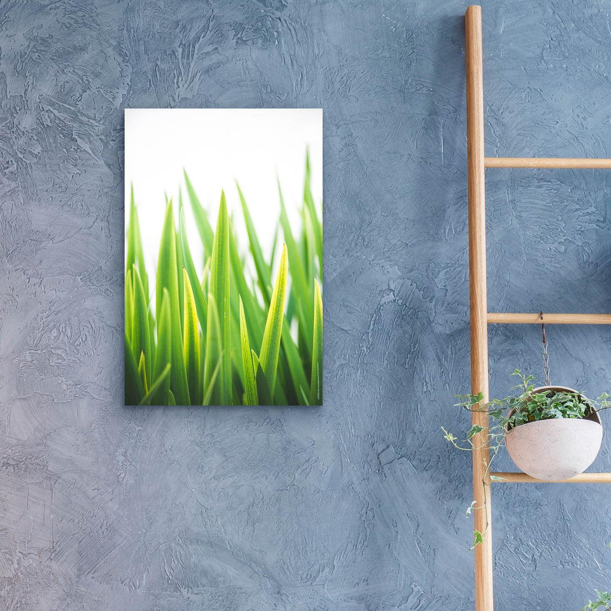Epic Art ' Blades of Green 2' by Sonja Quintero, Acrylic Glass Wall Art,16x24