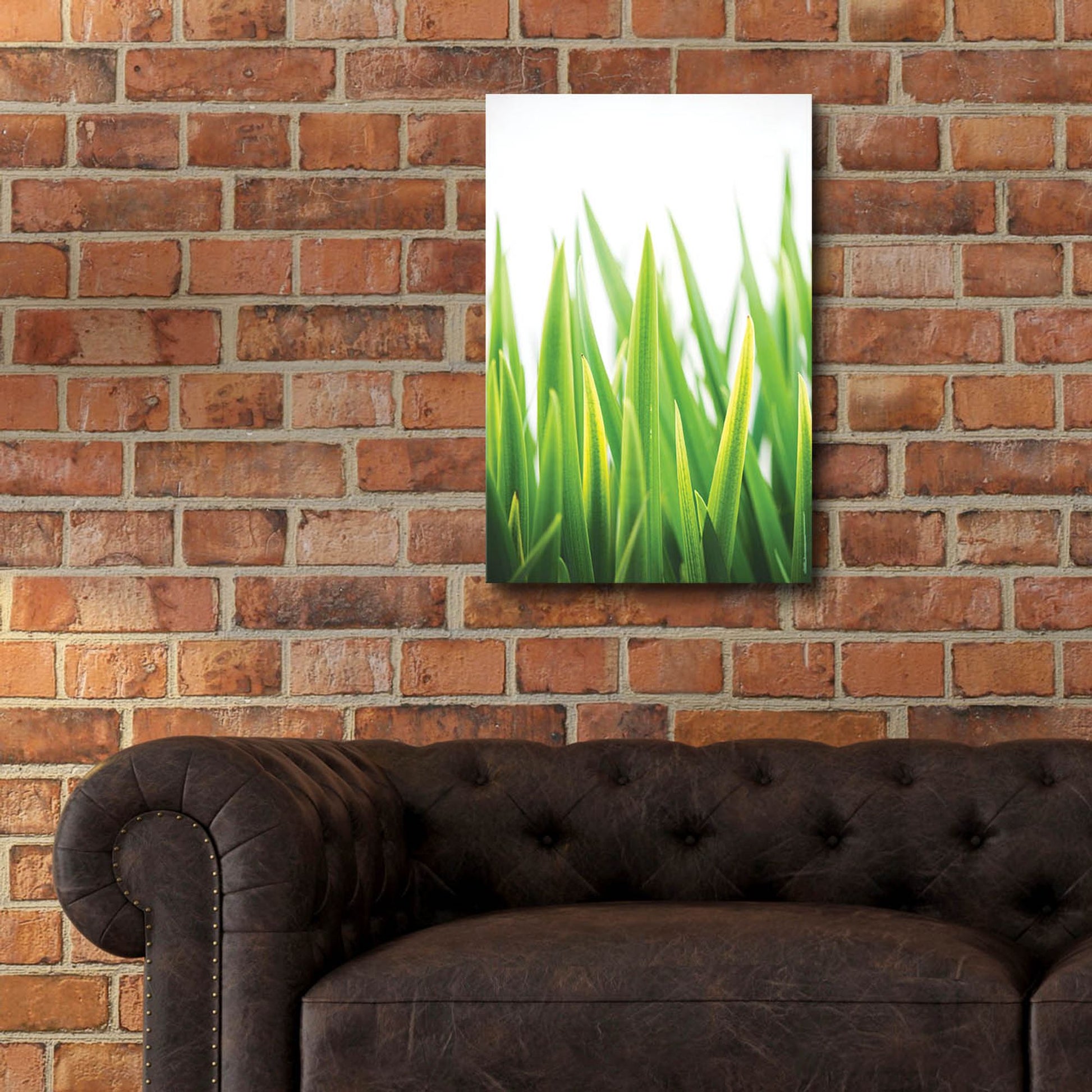 Epic Art ' Blades of Green 2' by Sonja Quintero, Acrylic Glass Wall Art,16x24