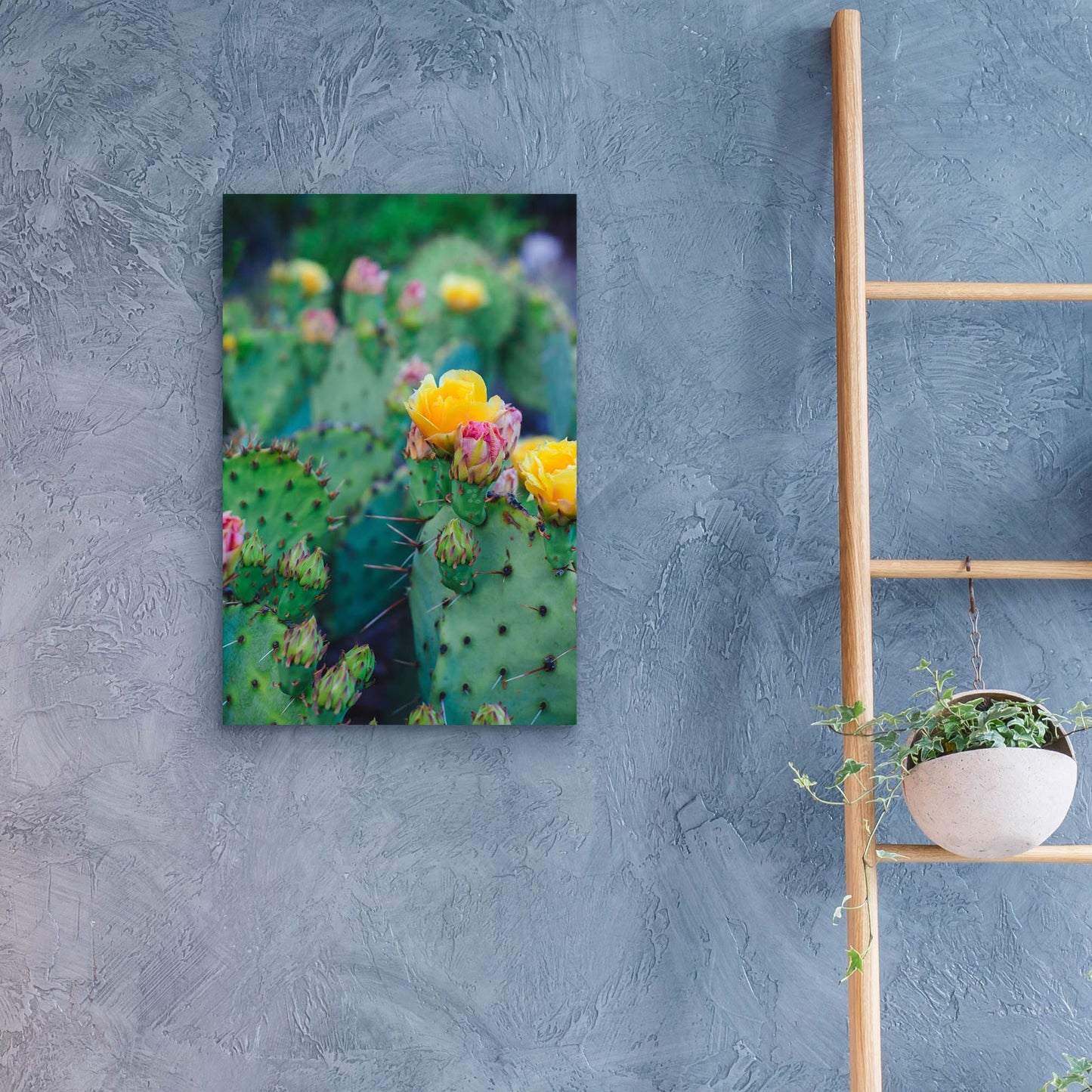 Epic Art ' Spring Cacti 1' by Sonja Quintero, Acrylic Glass Wall Art,16x24