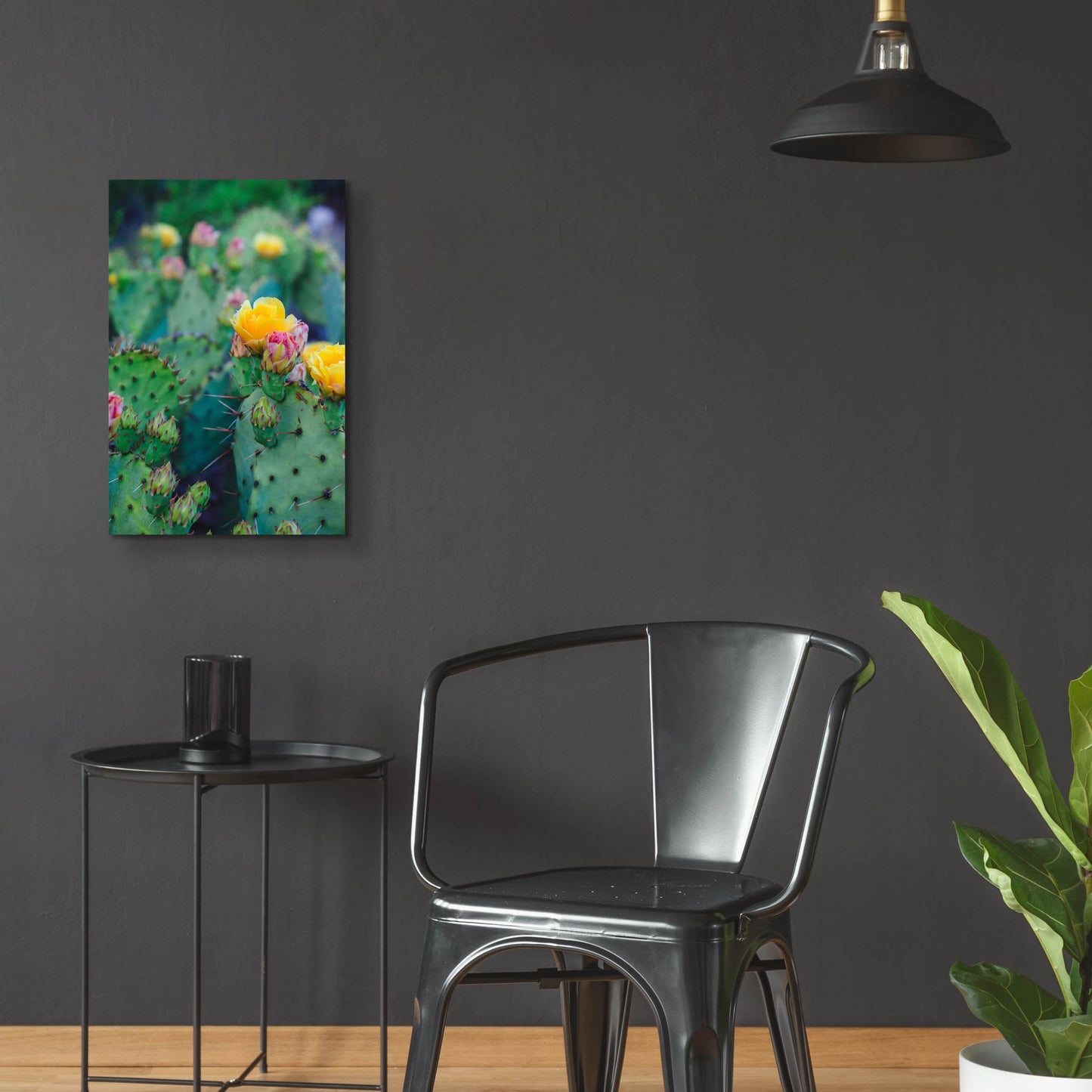 Epic Art ' Spring Cacti 1' by Sonja Quintero, Acrylic Glass Wall Art,16x24