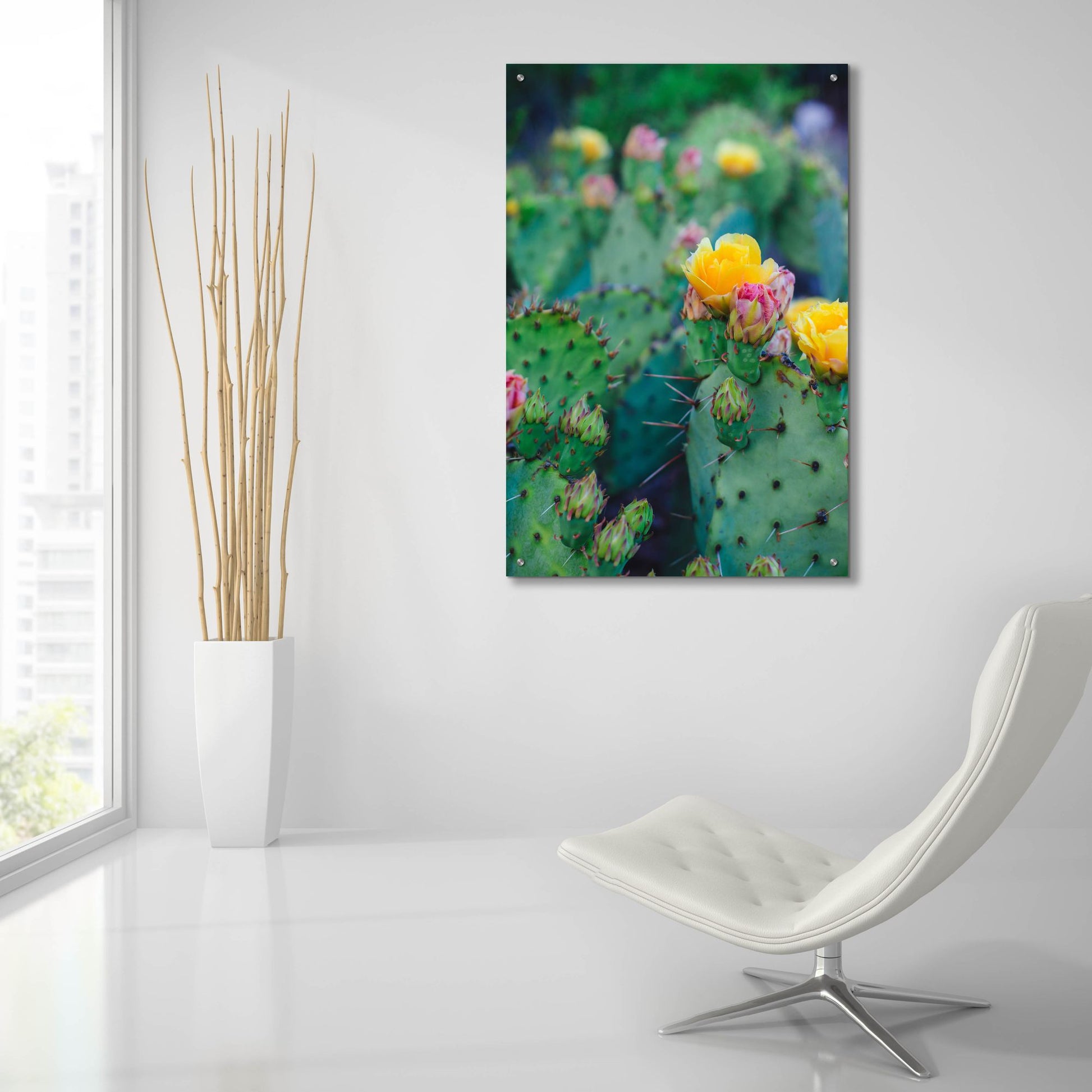 Epic Art ' Spring Cacti 1' by Sonja Quintero, Acrylic Glass Wall Art,24x36