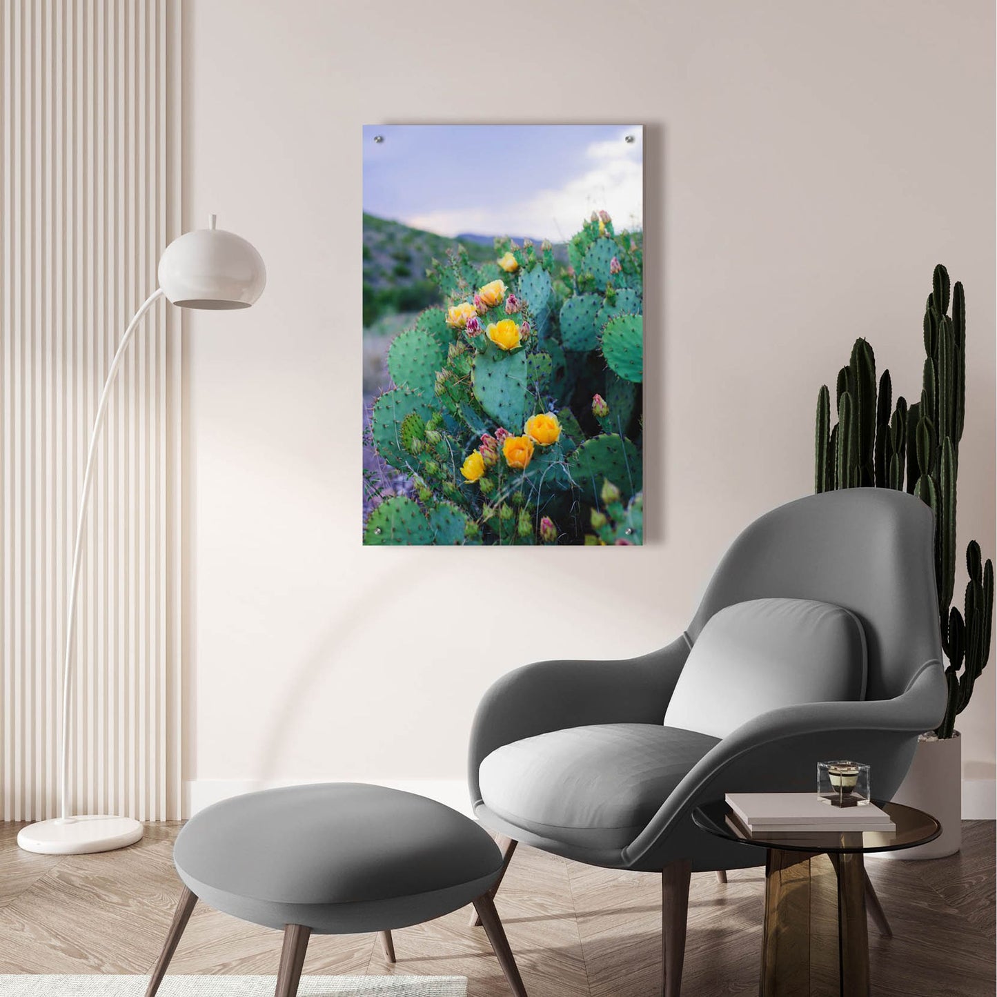 Epic Art ' Spring Cacti 2' by Sonja Quintero, Acrylic Glass Wall Art,24x36