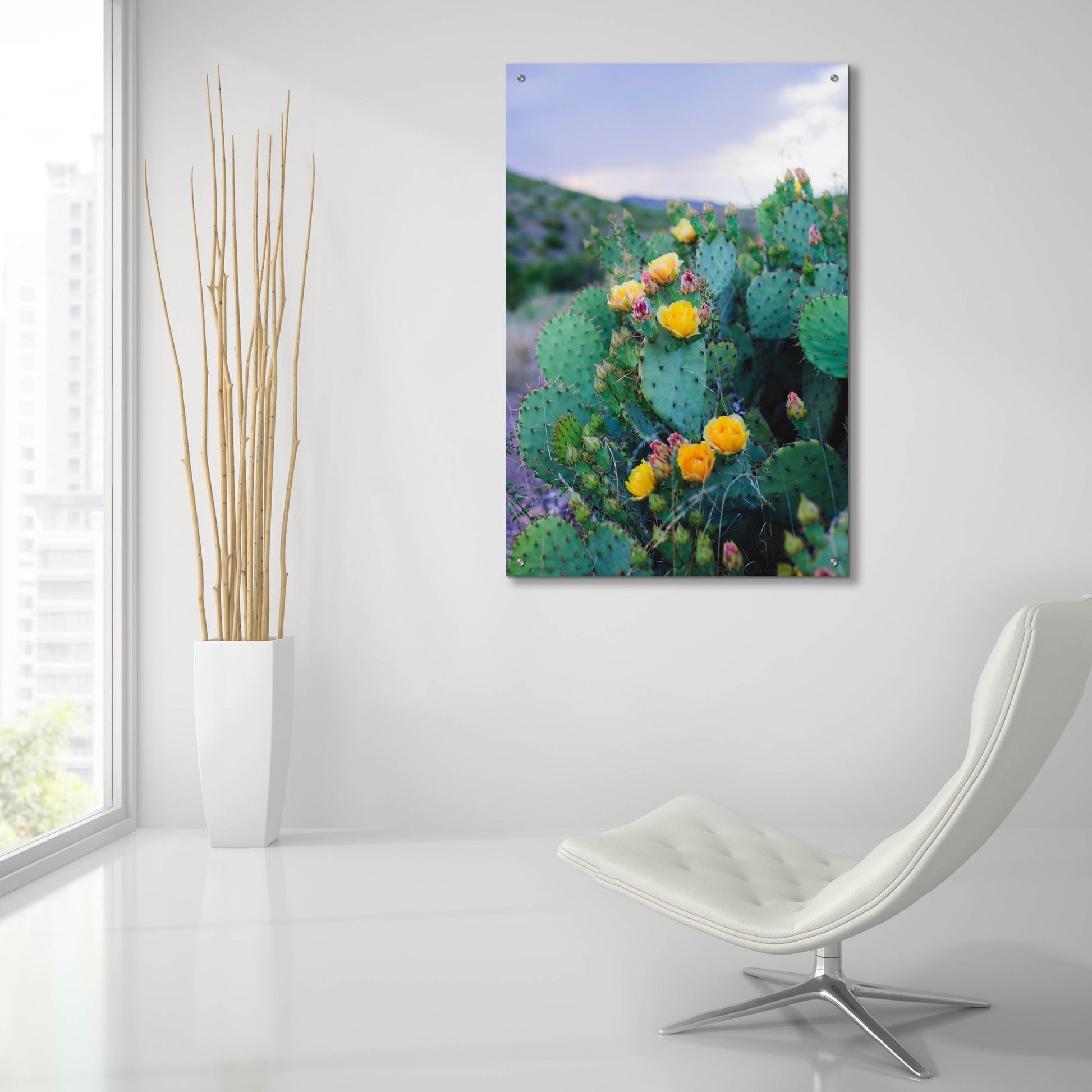 Epic Art ' Spring Cacti 2' by Sonja Quintero, Acrylic Glass Wall Art,24x36