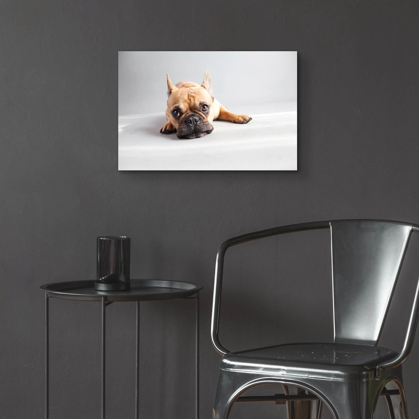 Epic Art ' Sad Frenchie' by Susan Sabo, Acrylic Glass Wall Art,24x16