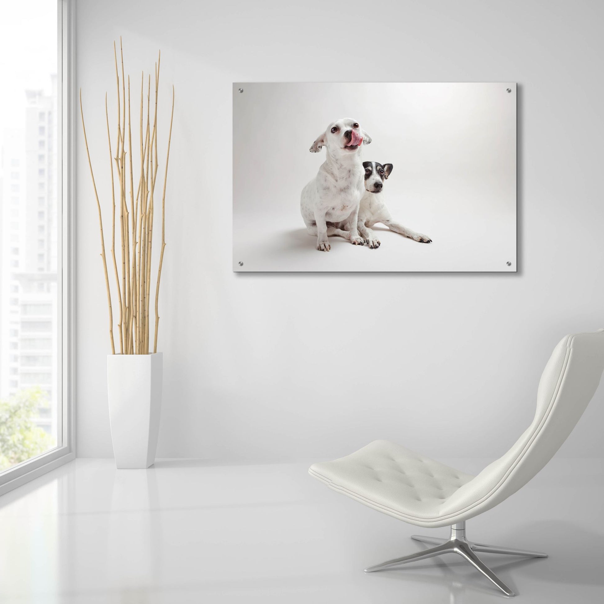 Epic Art ' Mouse & Jack' by Susan Sabo, Acrylic Glass Wall Art,36x24