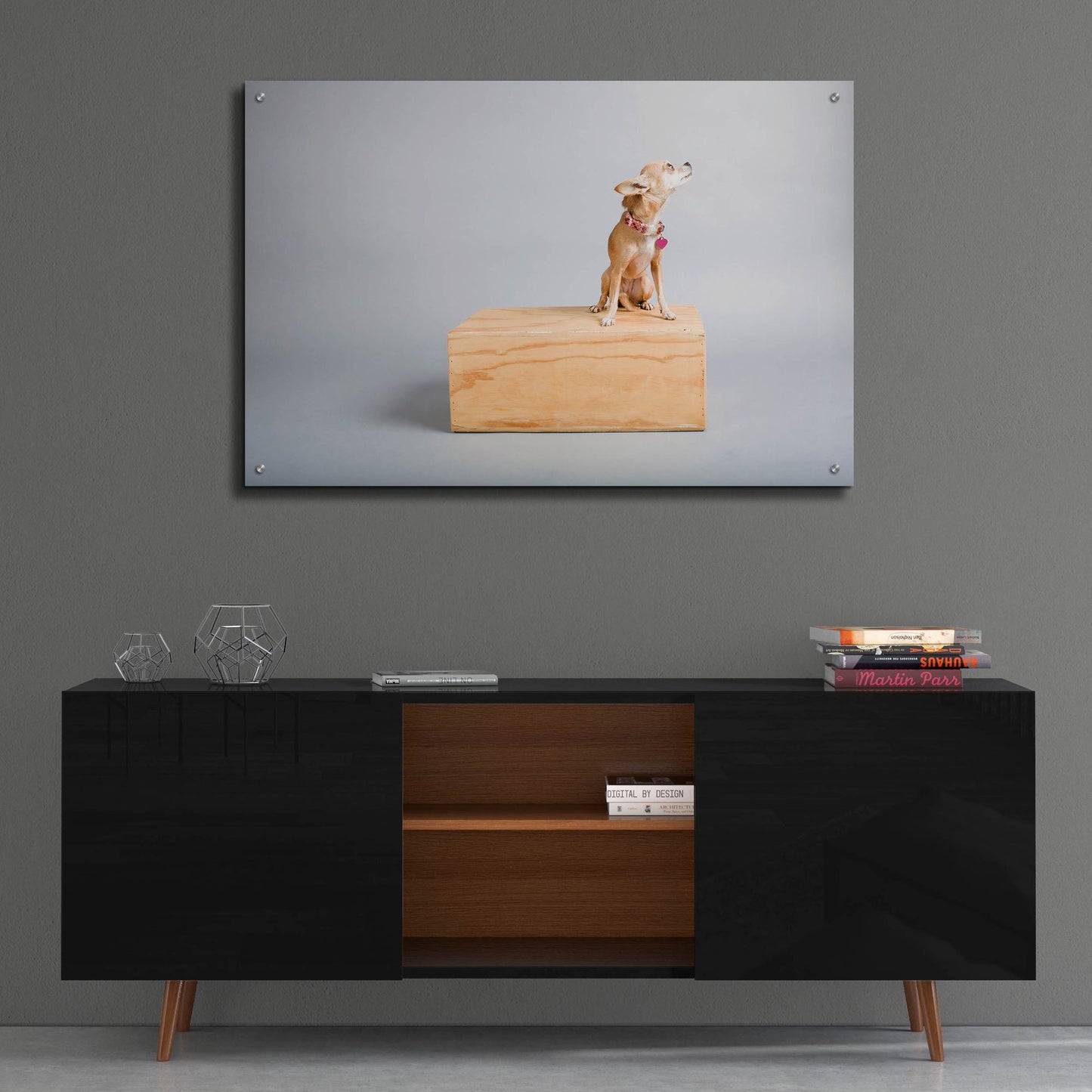 Epic Art ' Small Dog, Big World' by Don Spears, Acrylic Glass Wall Art,36x24