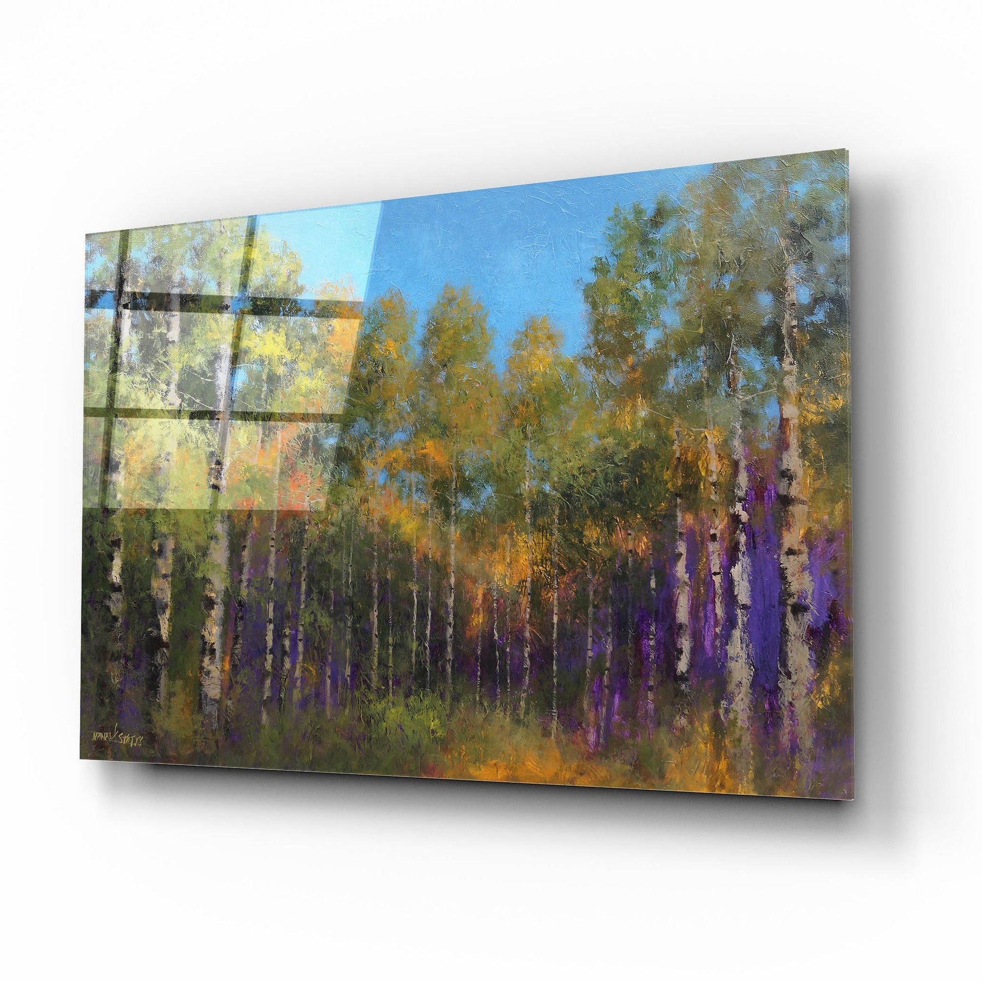 Epic Art ' Aspen Autumn' by Thomas Stotts, Acrylic Glass Wall Art,16x12