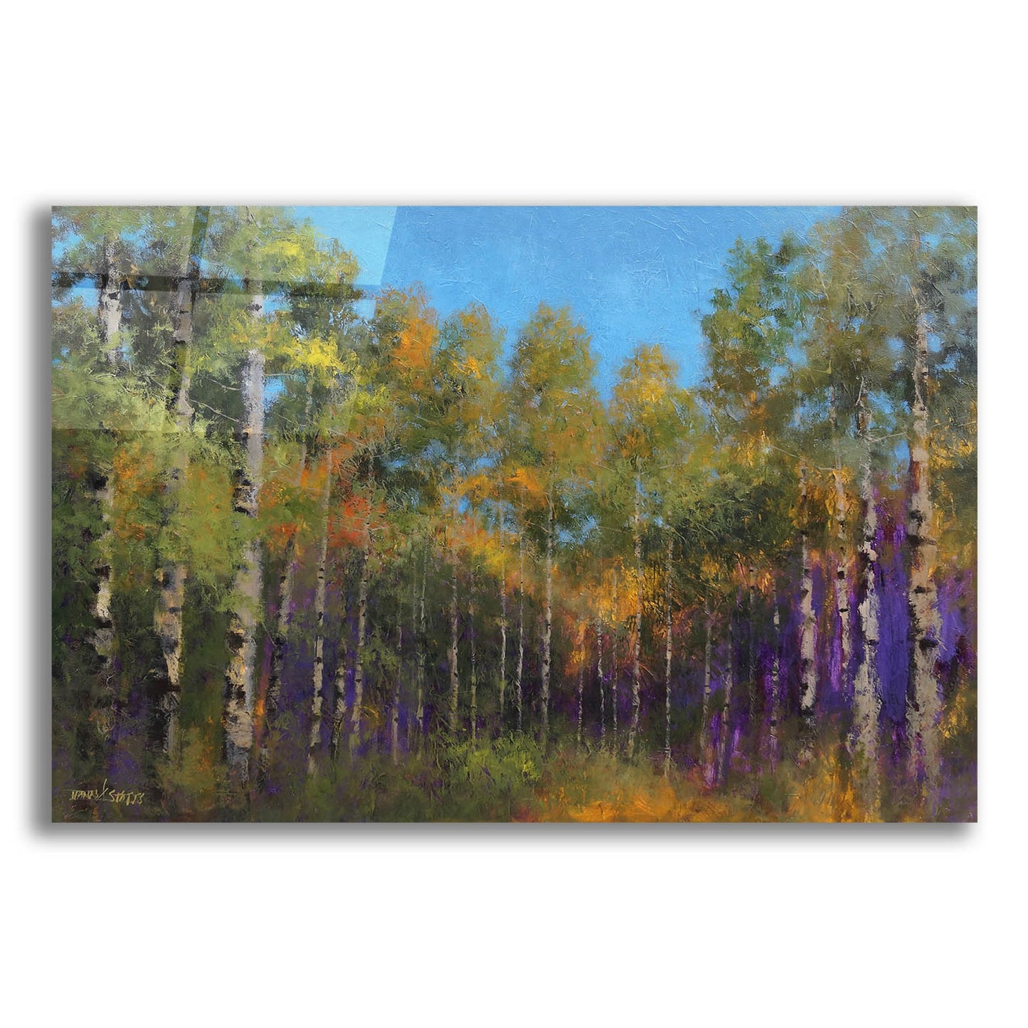 Epic Art ' Aspen Autumn' by Thomas Stotts, Acrylic Glass Wall Art,24x16