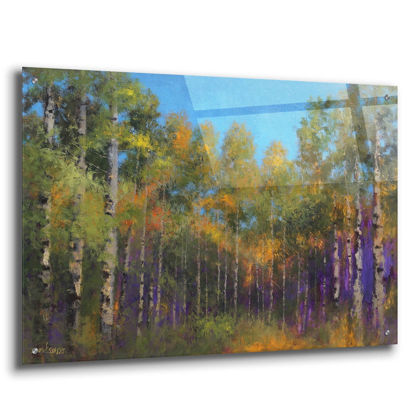 Epic Art ' Aspen Autumn' by Thomas Stotts, Acrylic Glass Wall Art,36x24