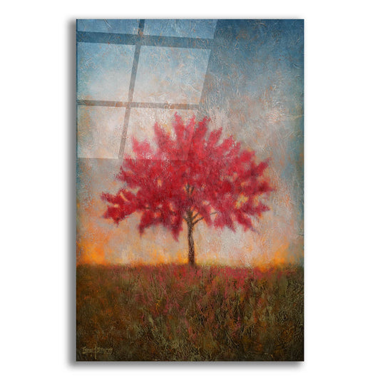 Epic Art ' Red Bud 1' by Thomas Stotts, Acrylic Glass Wall Art