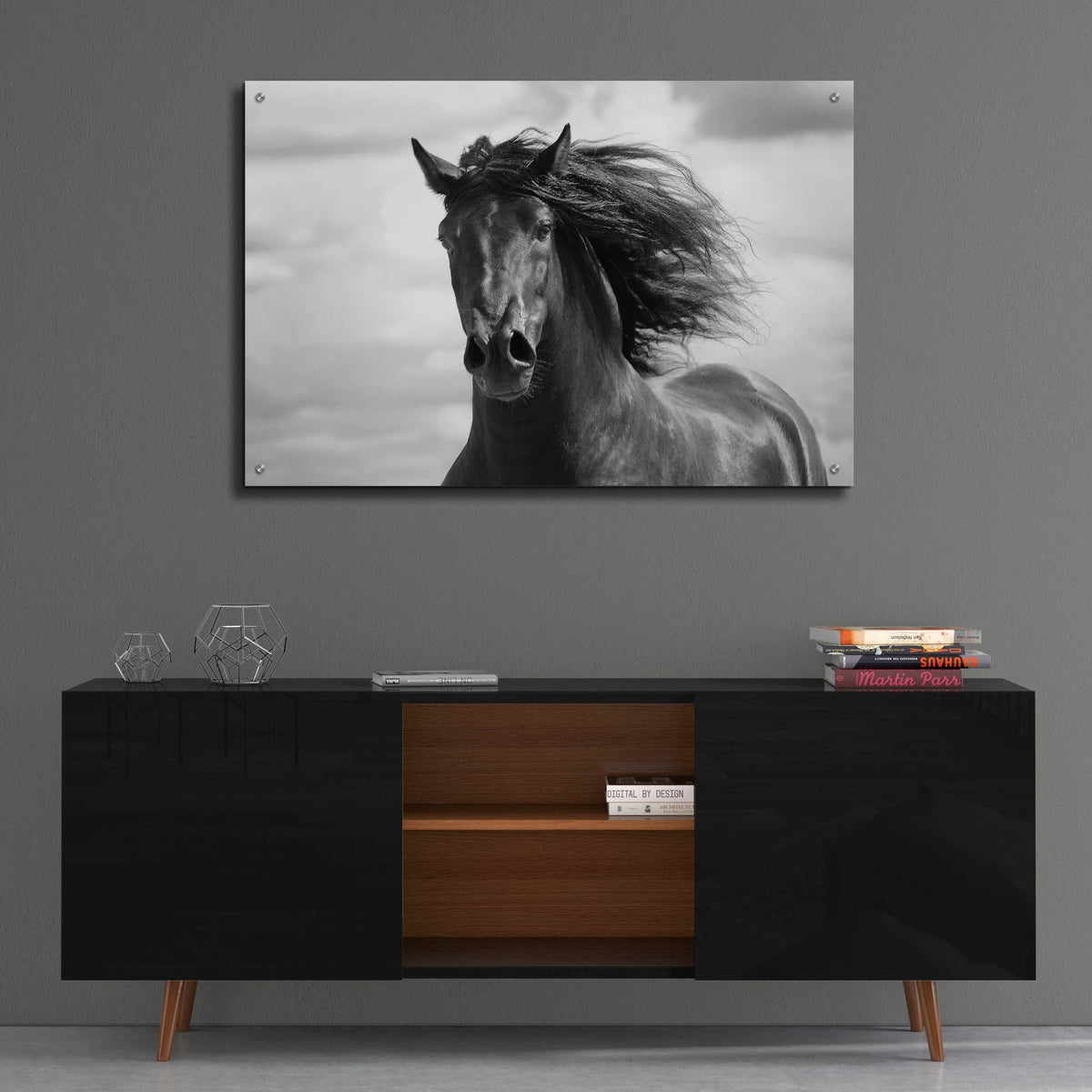 Epic Art ' Breath of Life' by Tony Stromberg, Acrylic Glass Wall Art,36x24