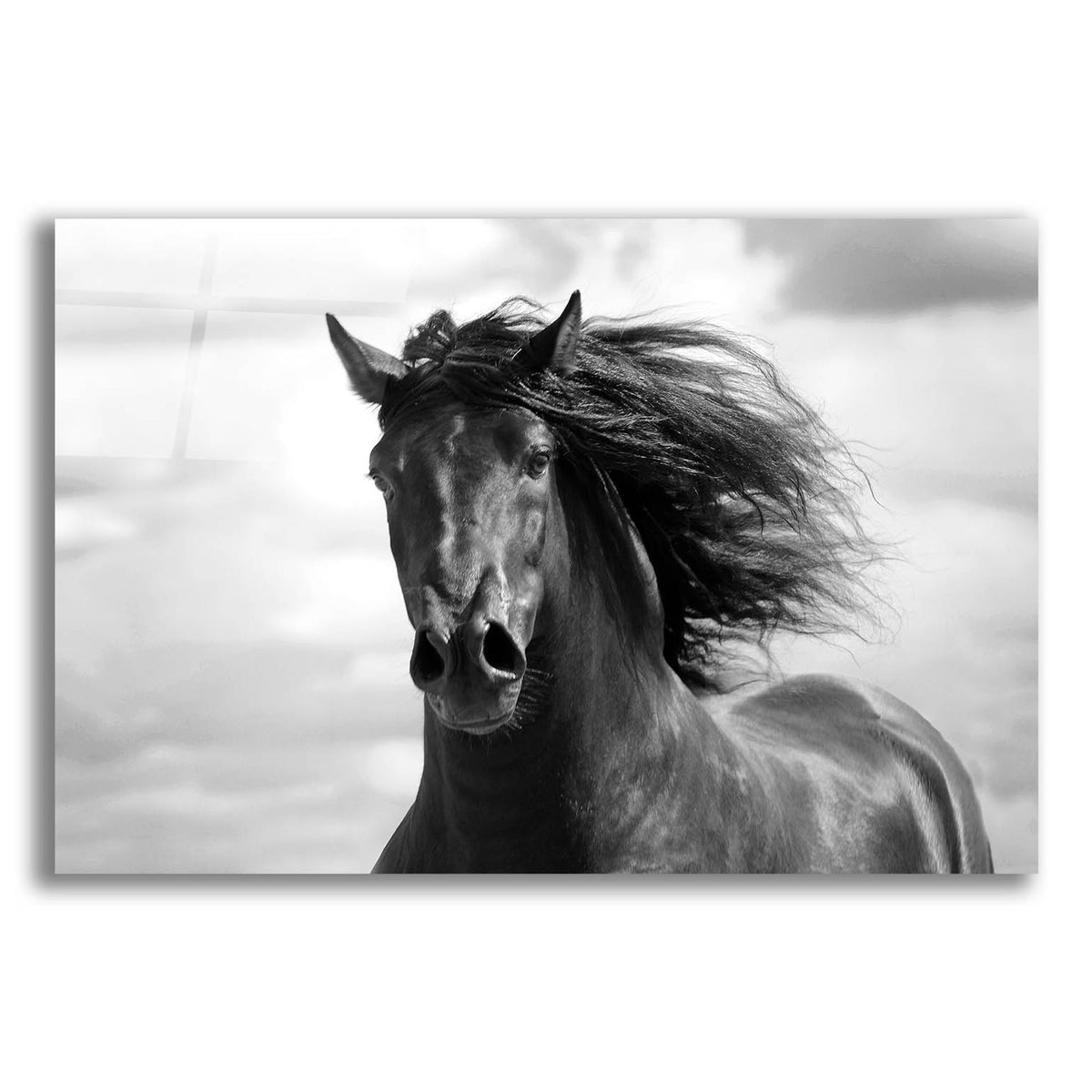Epic Art ' Breath of Life' by Tony Stromberg, Acrylic Glass Wall Art