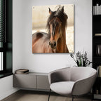 Epic Art ' Casanova' by Tony Stromberg, Acrylic Glass Wall Art,36x36