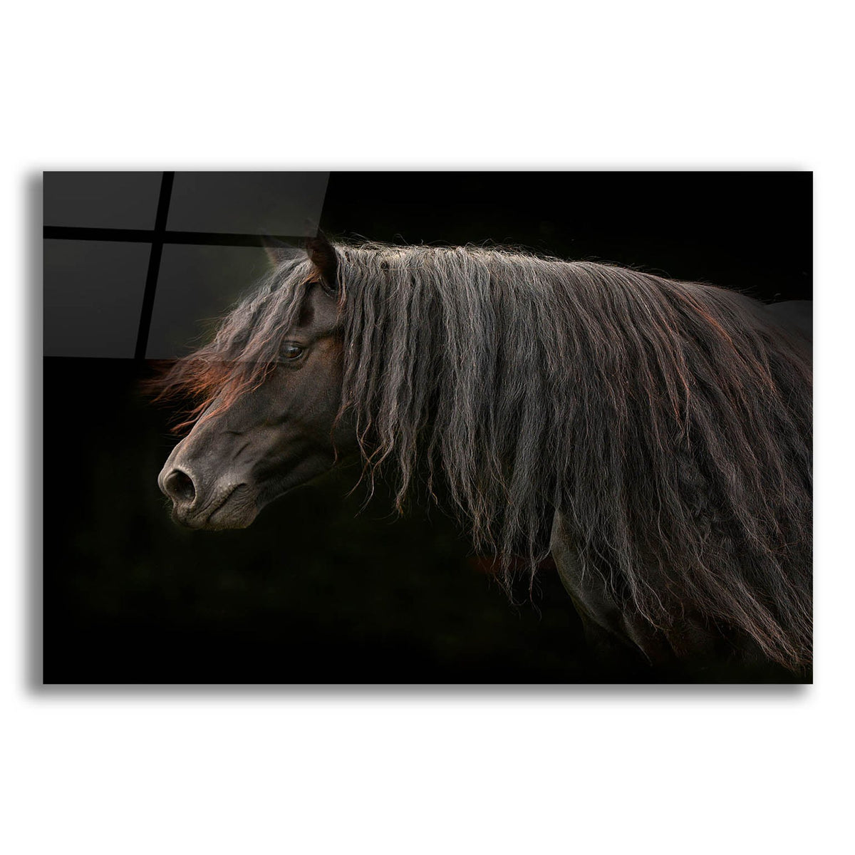 Epic Art ' Ebony' by Tony Stromberg, Acrylic Glass Wall Art