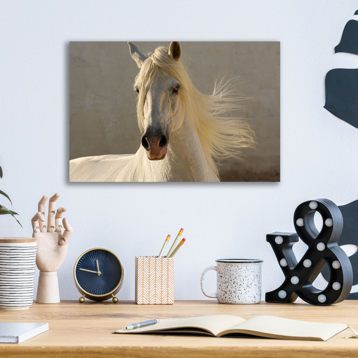 Epic Art ' Elegance' by Tony Stromberg, Acrylic Glass Wall Art,16x12
