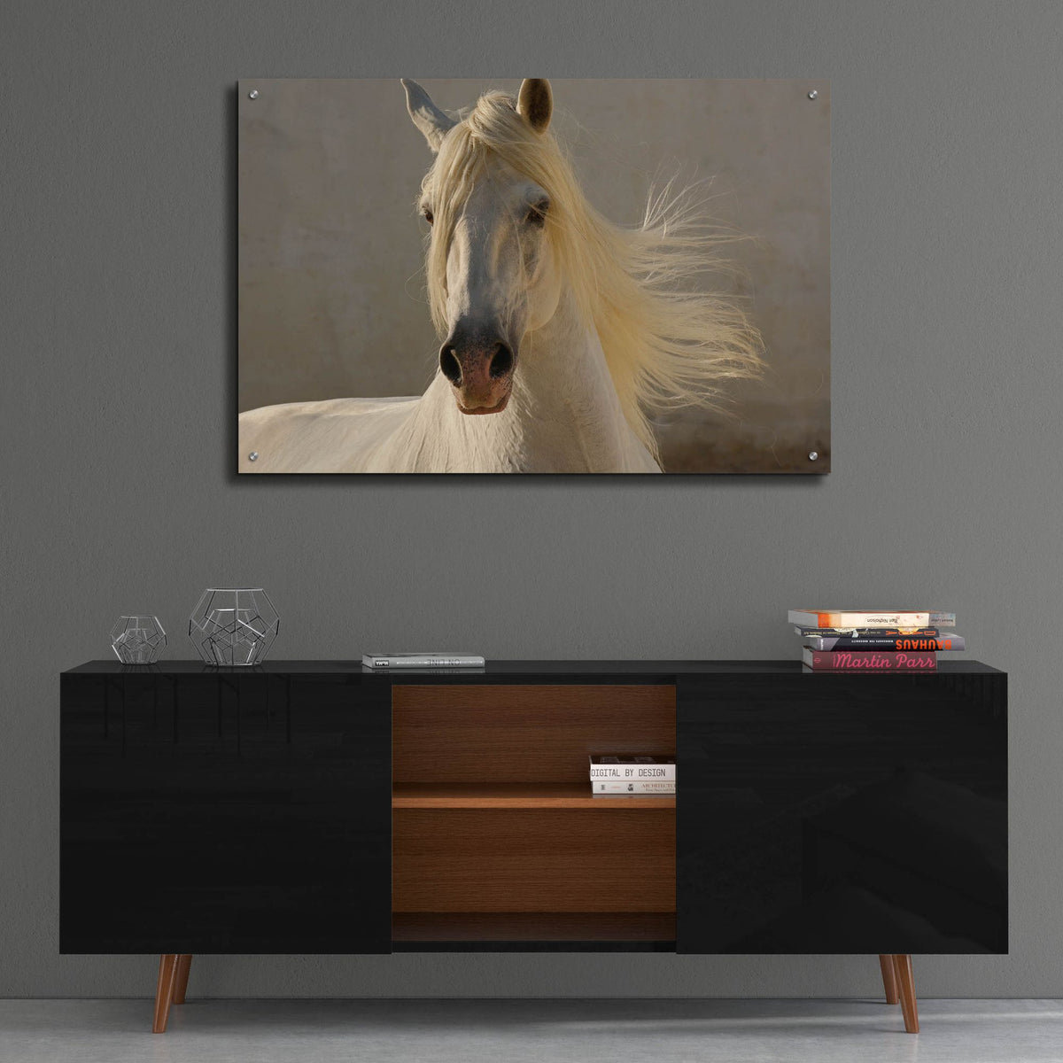 Epic Art ' Elegance' by Tony Stromberg, Acrylic Glass Wall Art,36x24