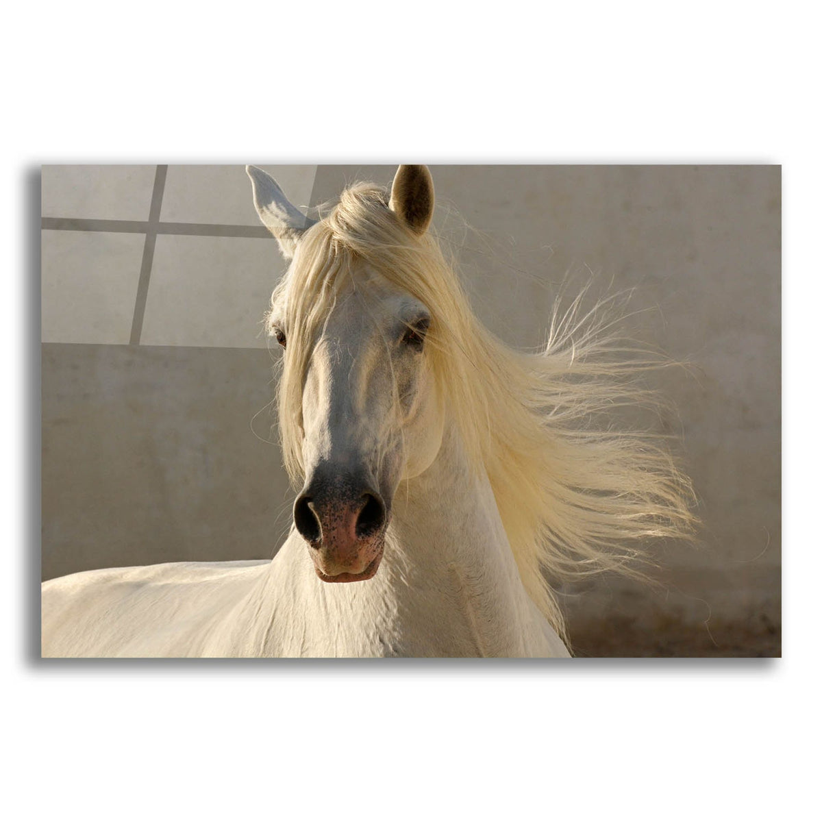 Epic Art ' Elegance' by Tony Stromberg, Acrylic Glass Wall Art