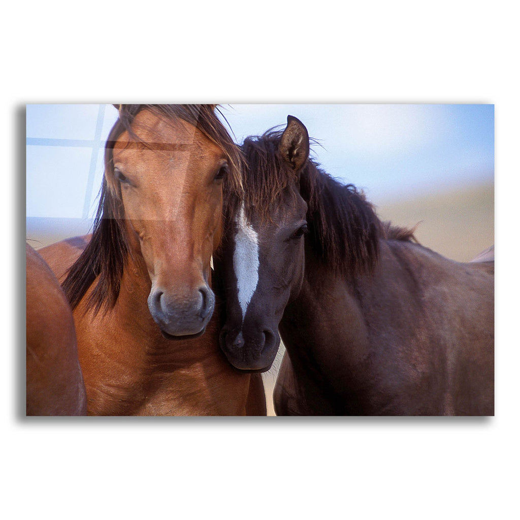 Epic Art ' Lovers' by Tony Stromberg, Acrylic Glass Wall Art