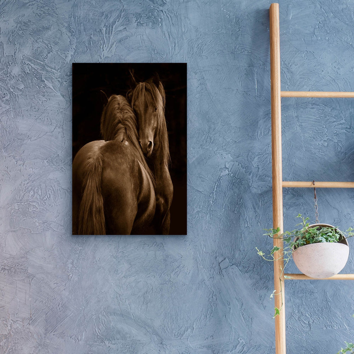 Epic Art ' Tenderness I' by Tony Stromberg, Acrylic Glass Wall Art,16x24
