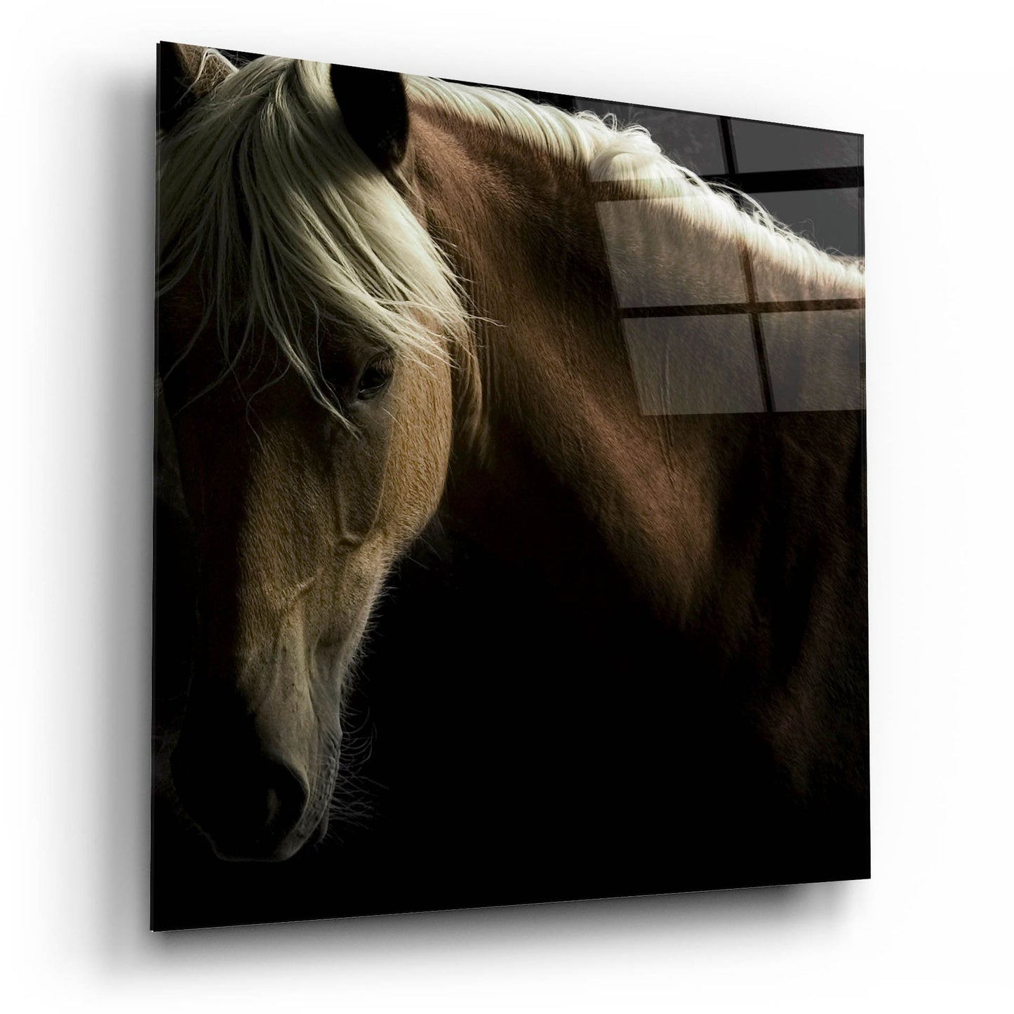 Epic Art ' Spirit Horse' by Tony Stromberg, Acrylic Glass Wall Art,12x12