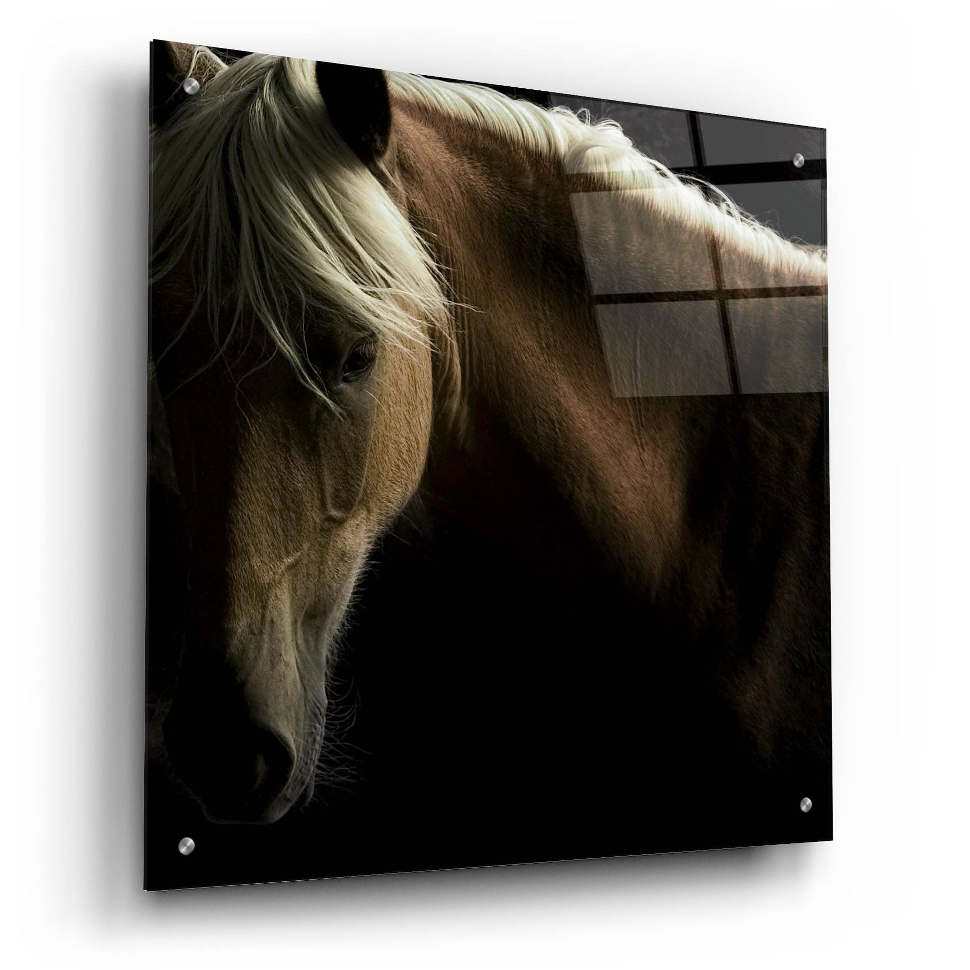 Epic Art ' Spirit Horse' by Tony Stromberg, Acrylic Glass Wall Art,24x24