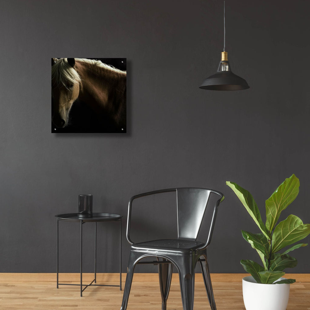 Epic Art ' Spirit Horse' by Tony Stromberg, Acrylic Glass Wall Art,24x24