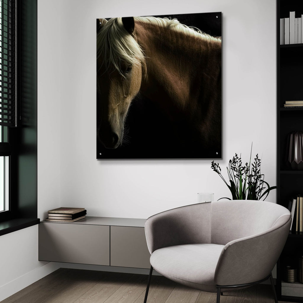 Epic Art ' Spirit Horse' by Tony Stromberg, Acrylic Glass Wall Art,36x36