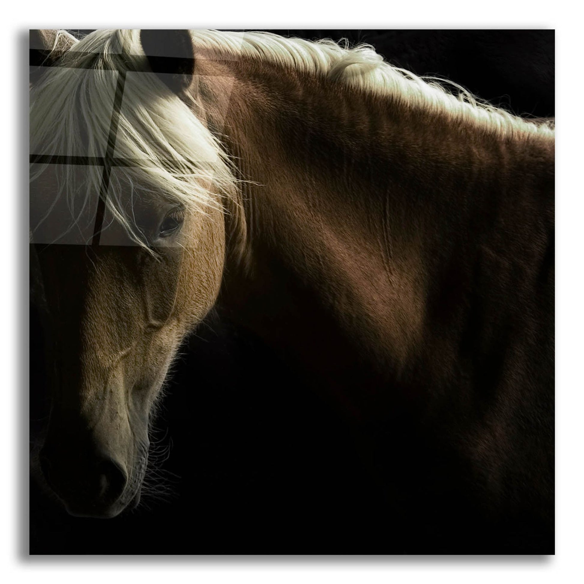 Epic Art ' Spirit Horse' by Tony Stromberg, Acrylic Glass Wall Art