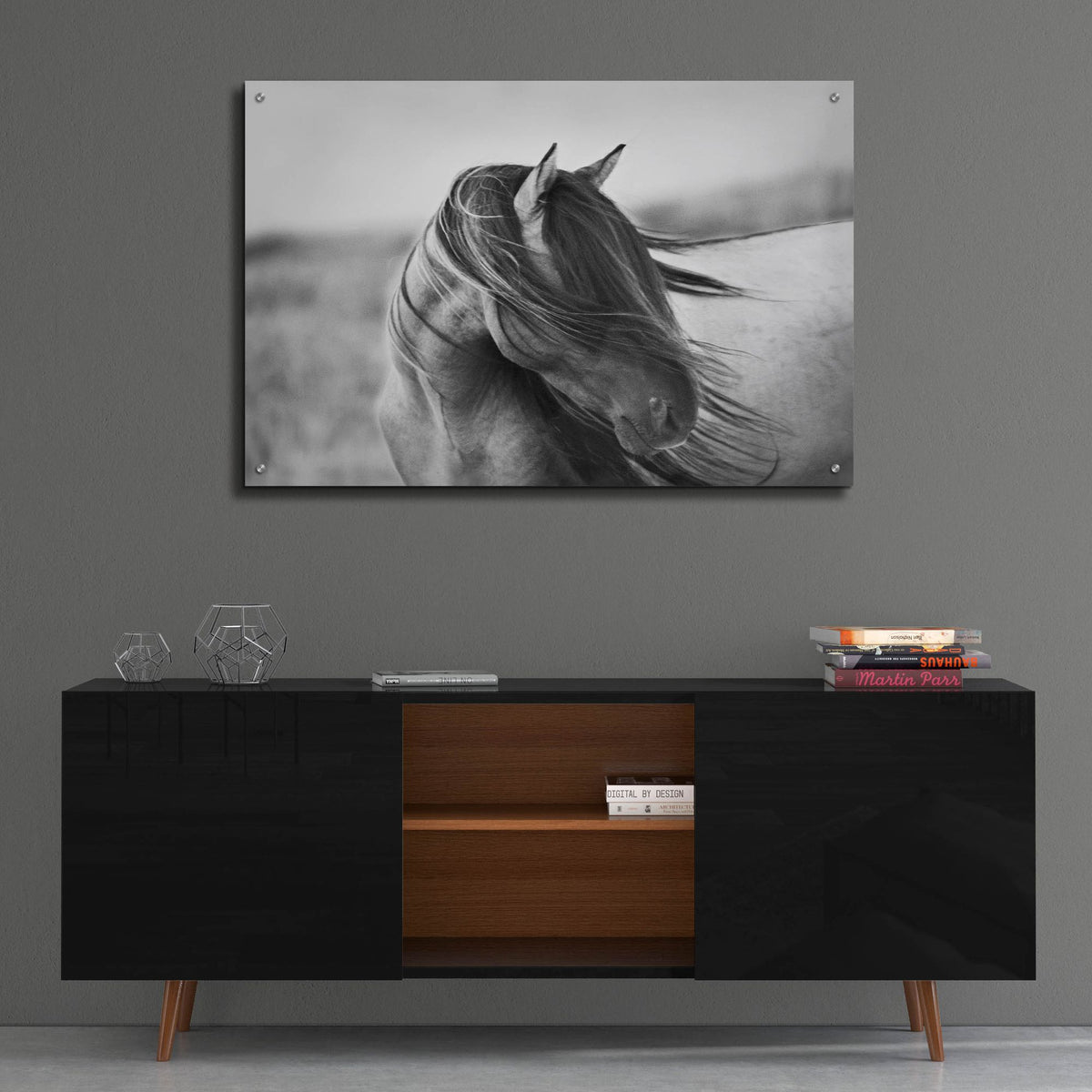 Epic Art ' Fierce Grace' by Tony Stromberg, Acrylic Glass Wall Art,36x24